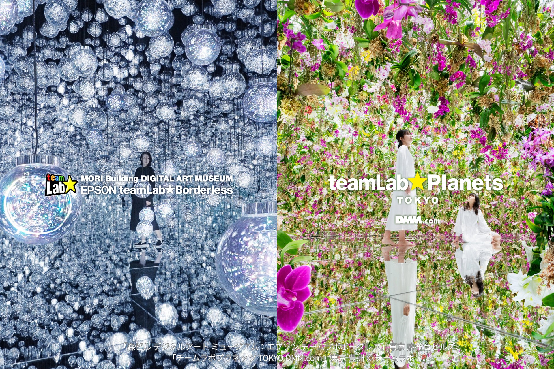 【Tokio】Las dos sedes de TeamLab:... - Go Tokyo - Español | Facebook
