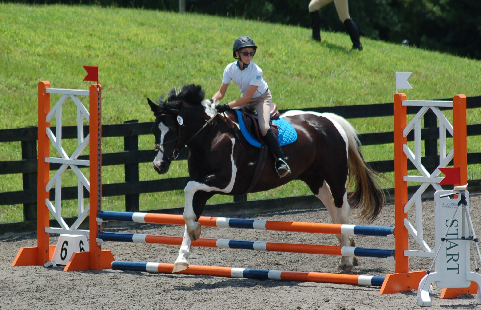 Willow South Riding School... - Willow South Riding School