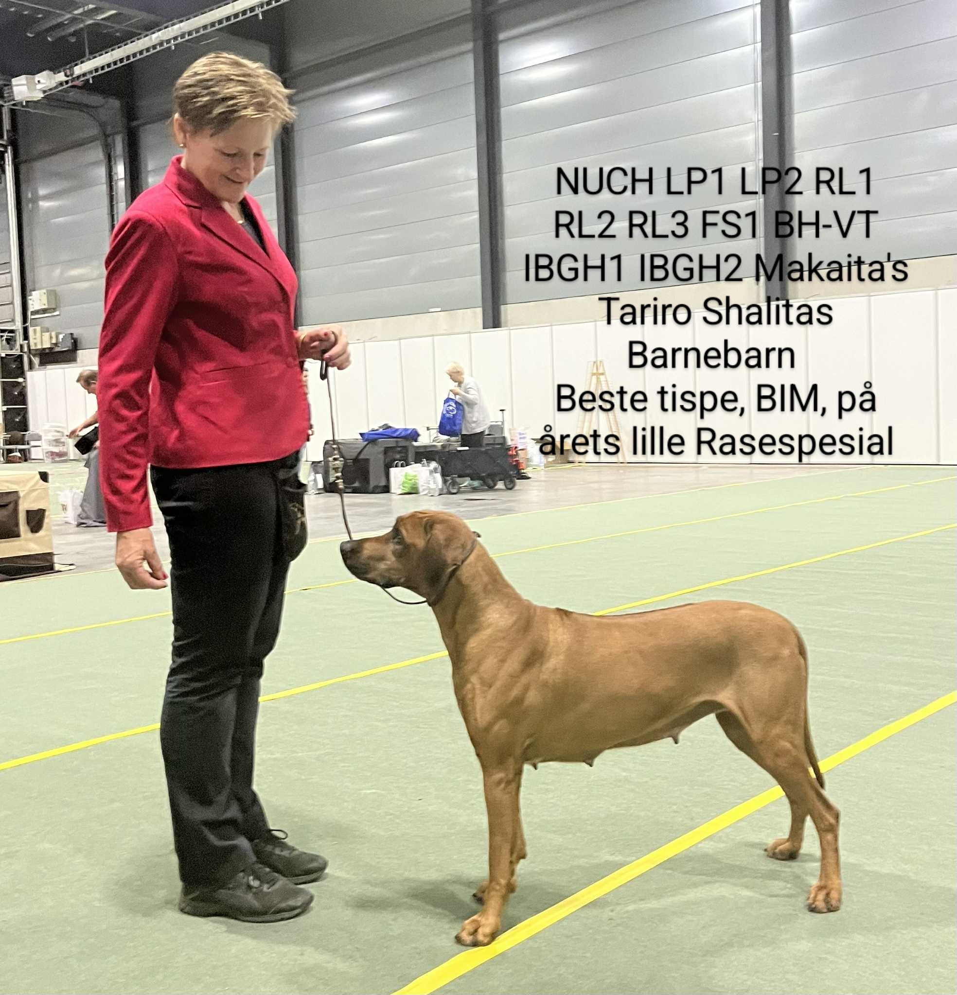Makaita... - Makaita Rhodesian ridgeback og Russian blue