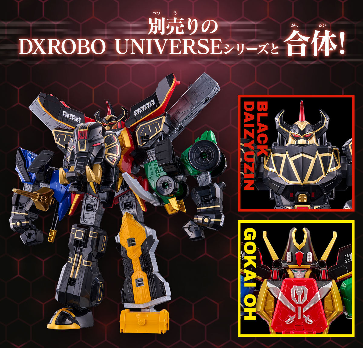 RangerBoard - Official photos & info has arrived for the DX Robo ...