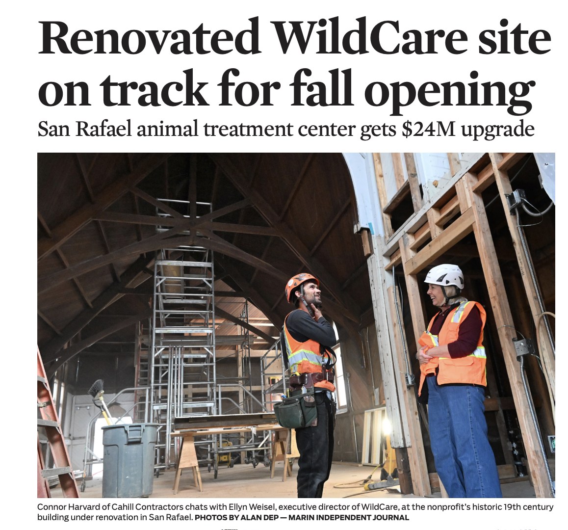 WildCare | San Rafael CA