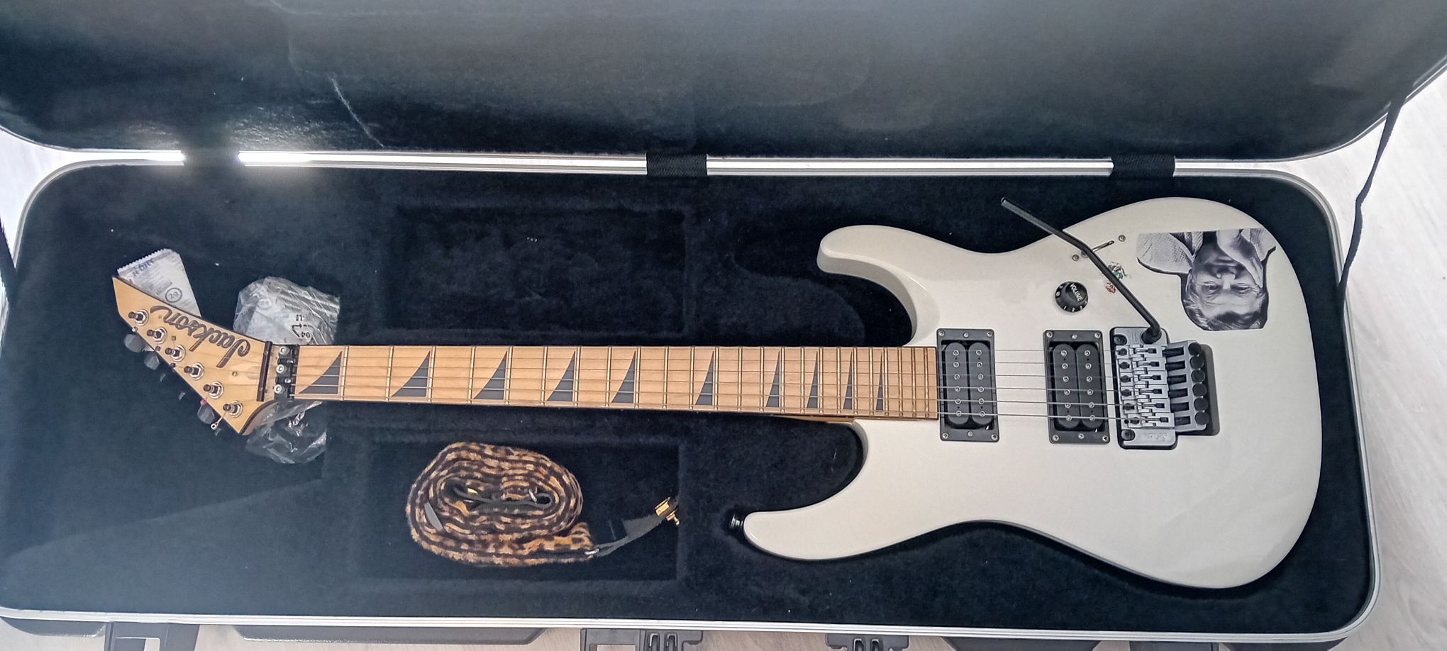 My Jackson DKMG Dinky & DK2M Japan.