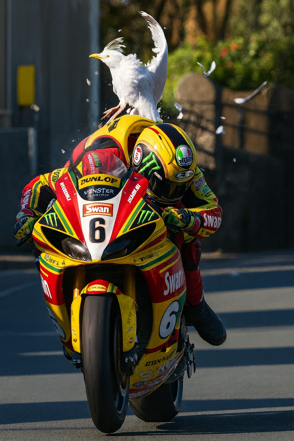 I love - At the Isle of Man TT, danger comes in every shape and speed ...