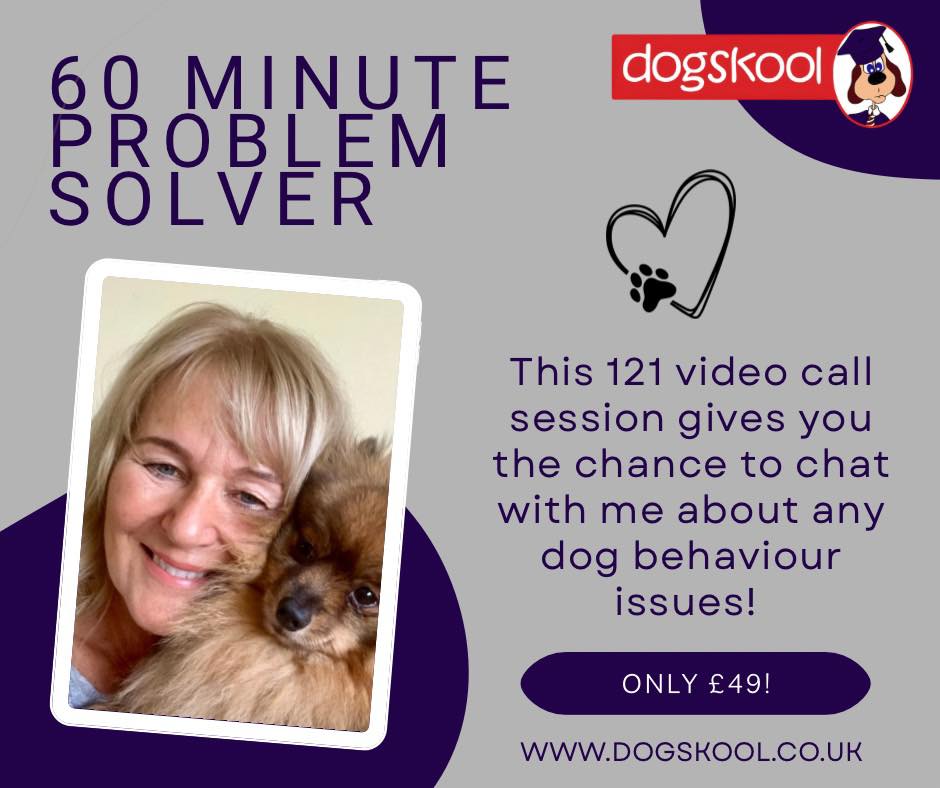 DOGSKOOL - 👀 Reading this post might be the first step... | Facebook