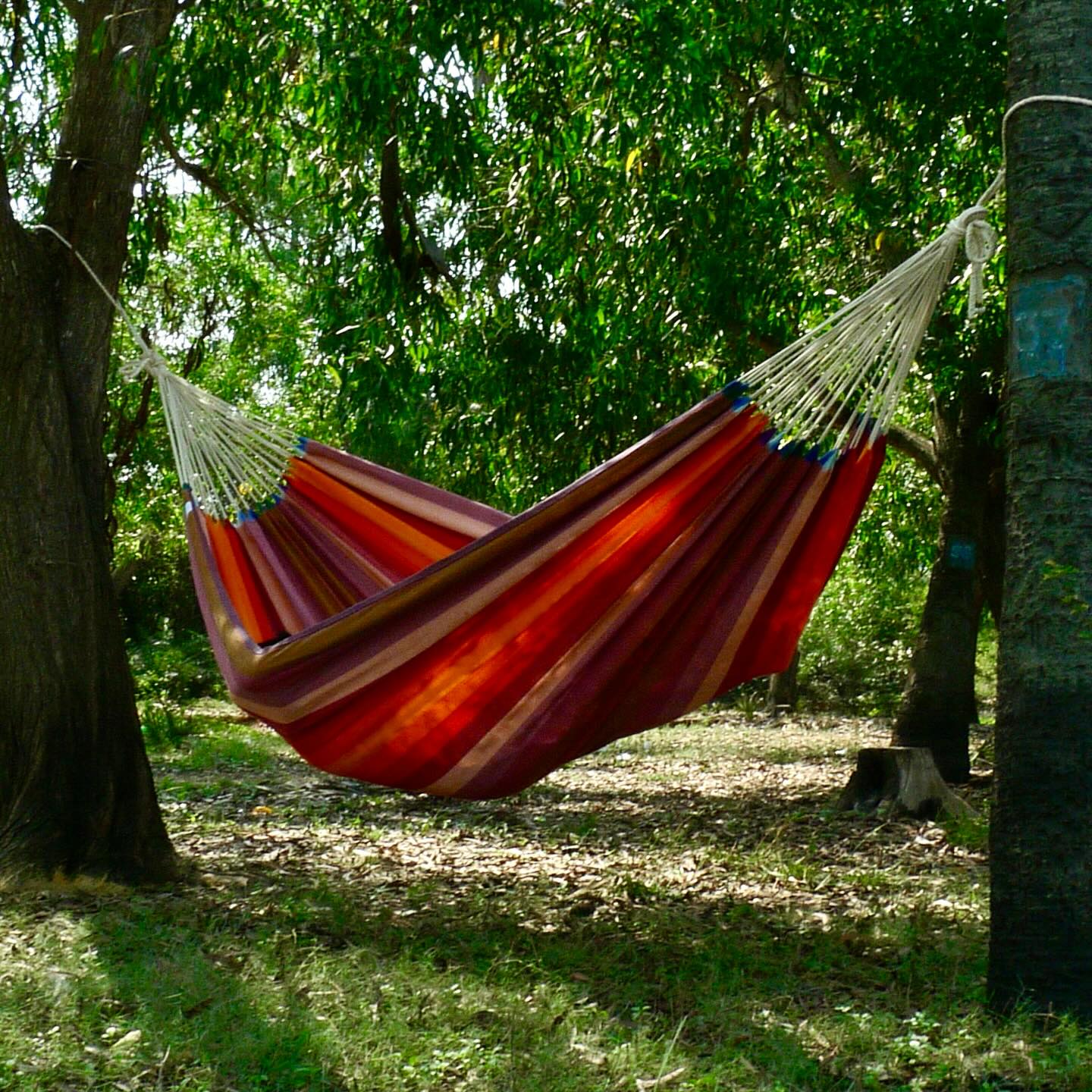 Hammock2000 (@Hammock2000) • Facebook