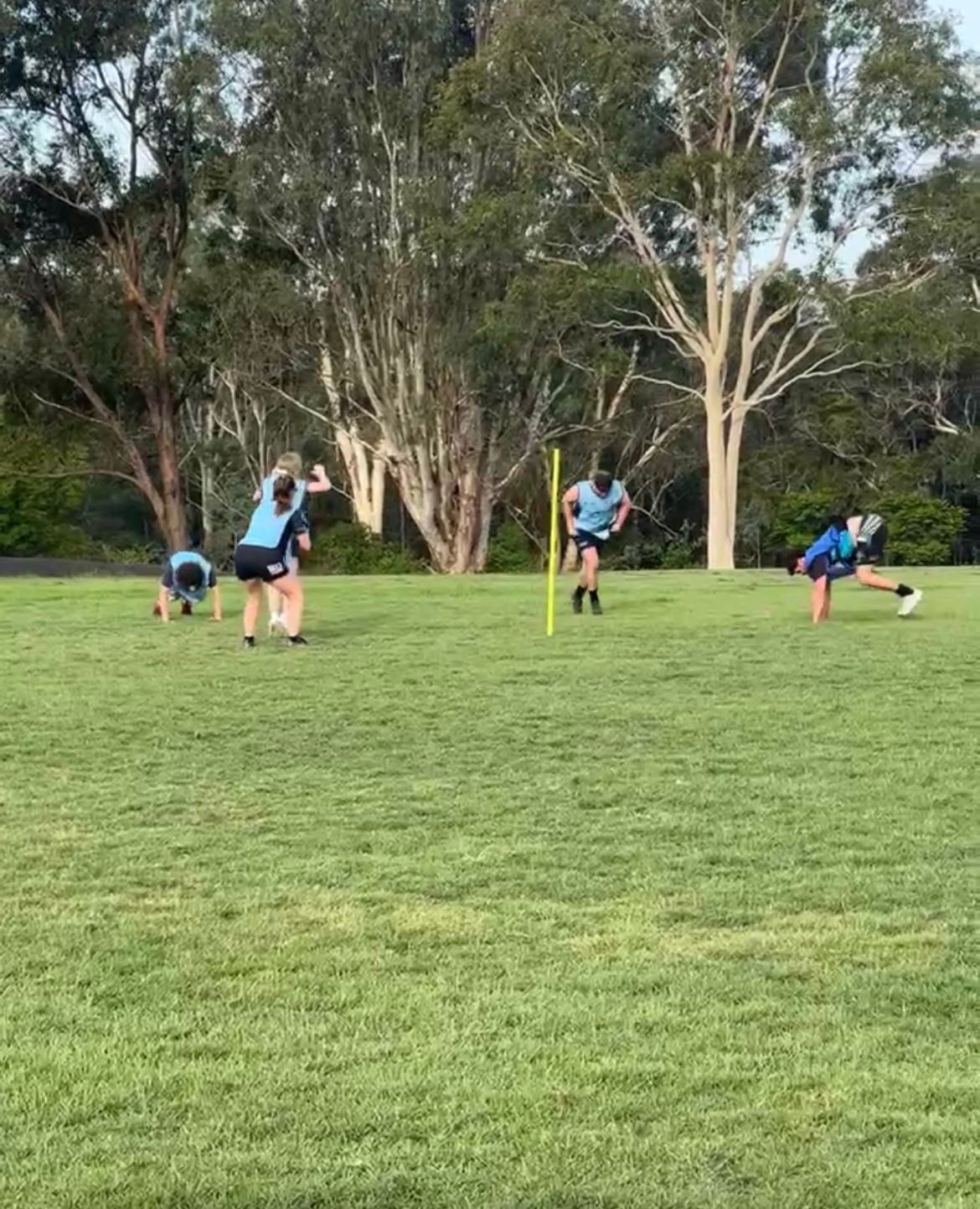 Manning River Ratz Rugby... - Manning River Ratz Rugby Club
