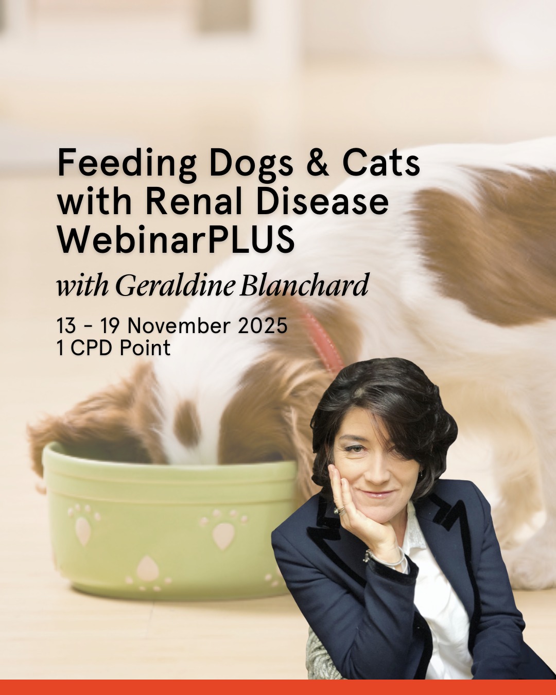 Photo inspiration: Picture Idea: Centre Feeding Dogs Cats With Renal Disease Join Renowned