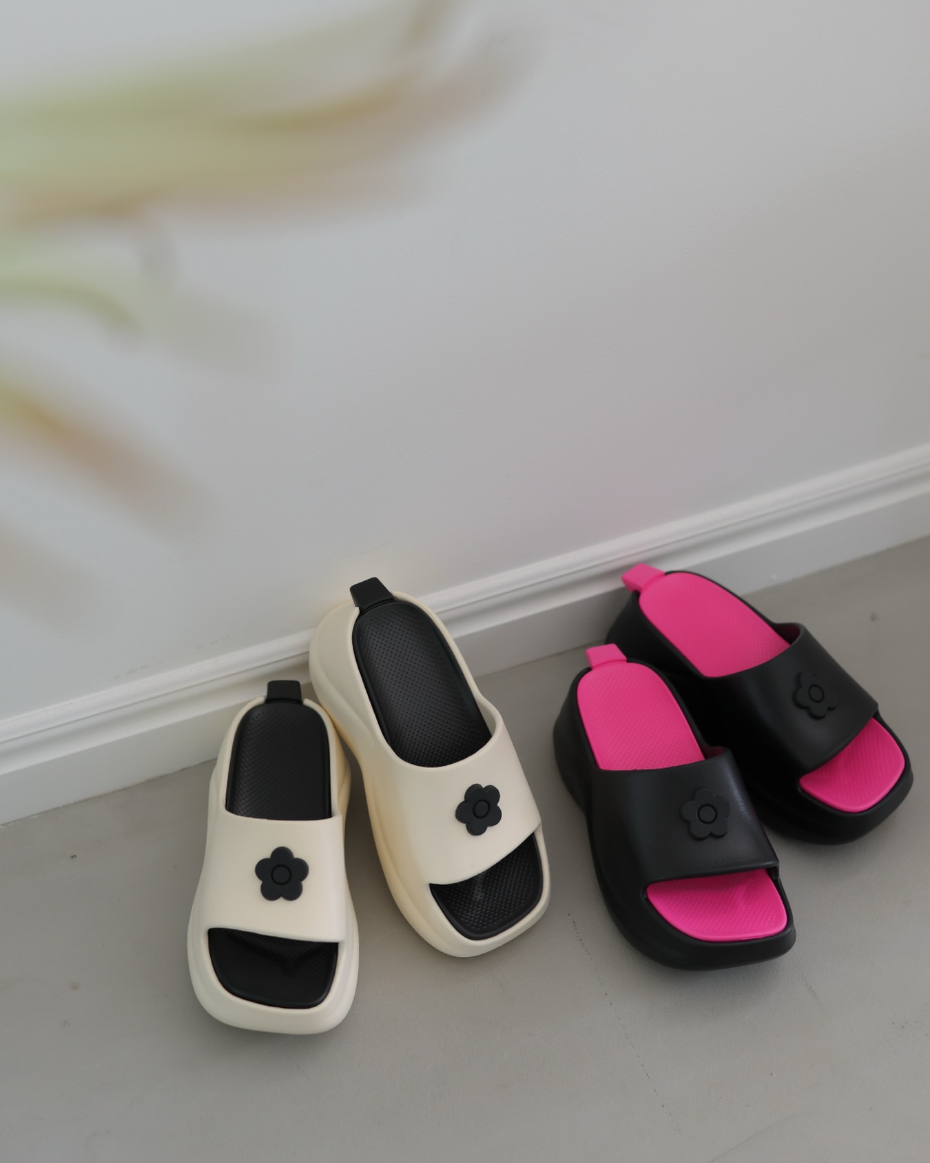 MARY - - ONLINE SHOP LIMITED 数量限定 #デイジーメタルポイント