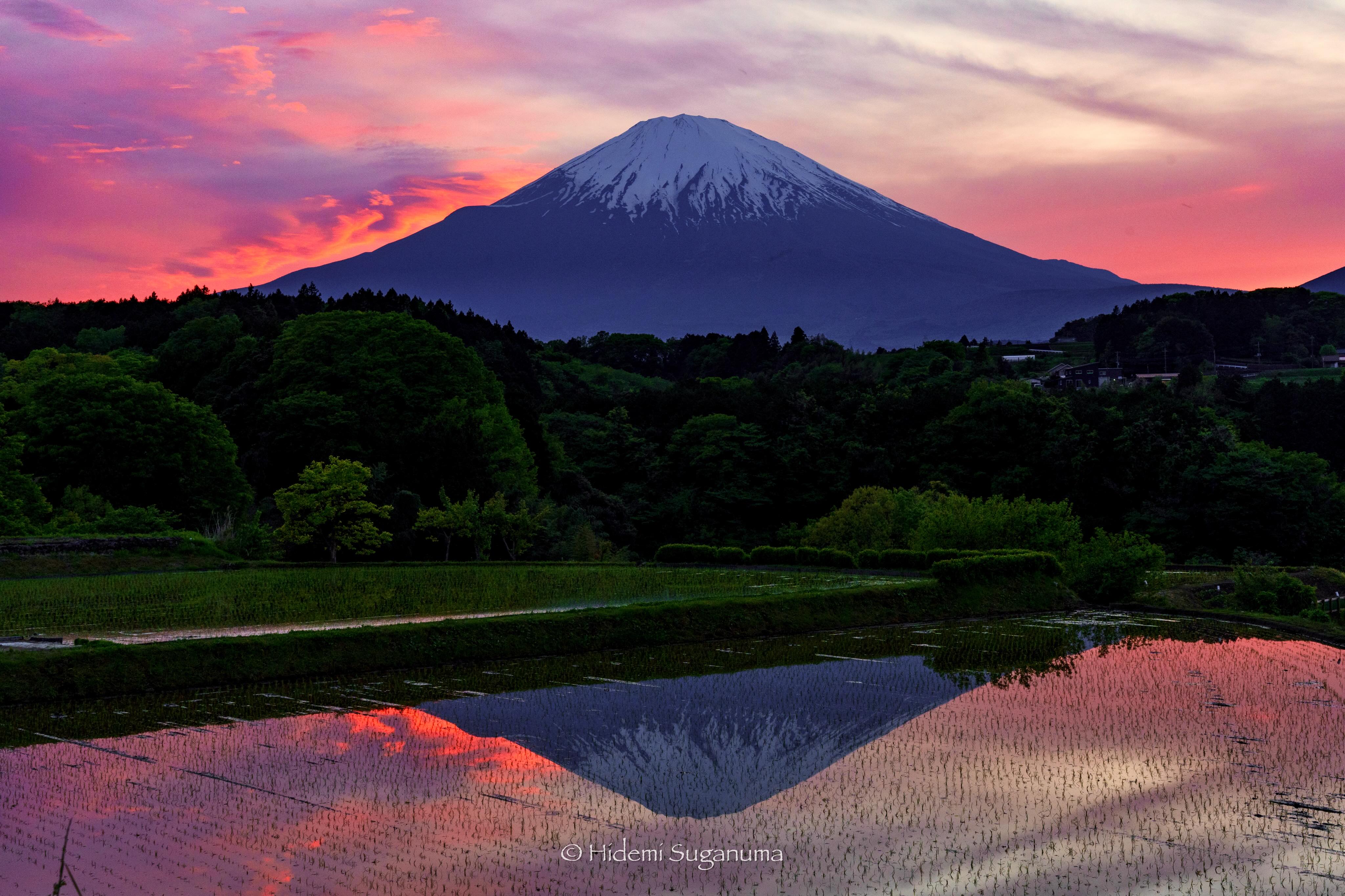富士山麓季節風景｜FUJIYAMA DAYS. (@FUJIYAMA.DAYS) • Facebook