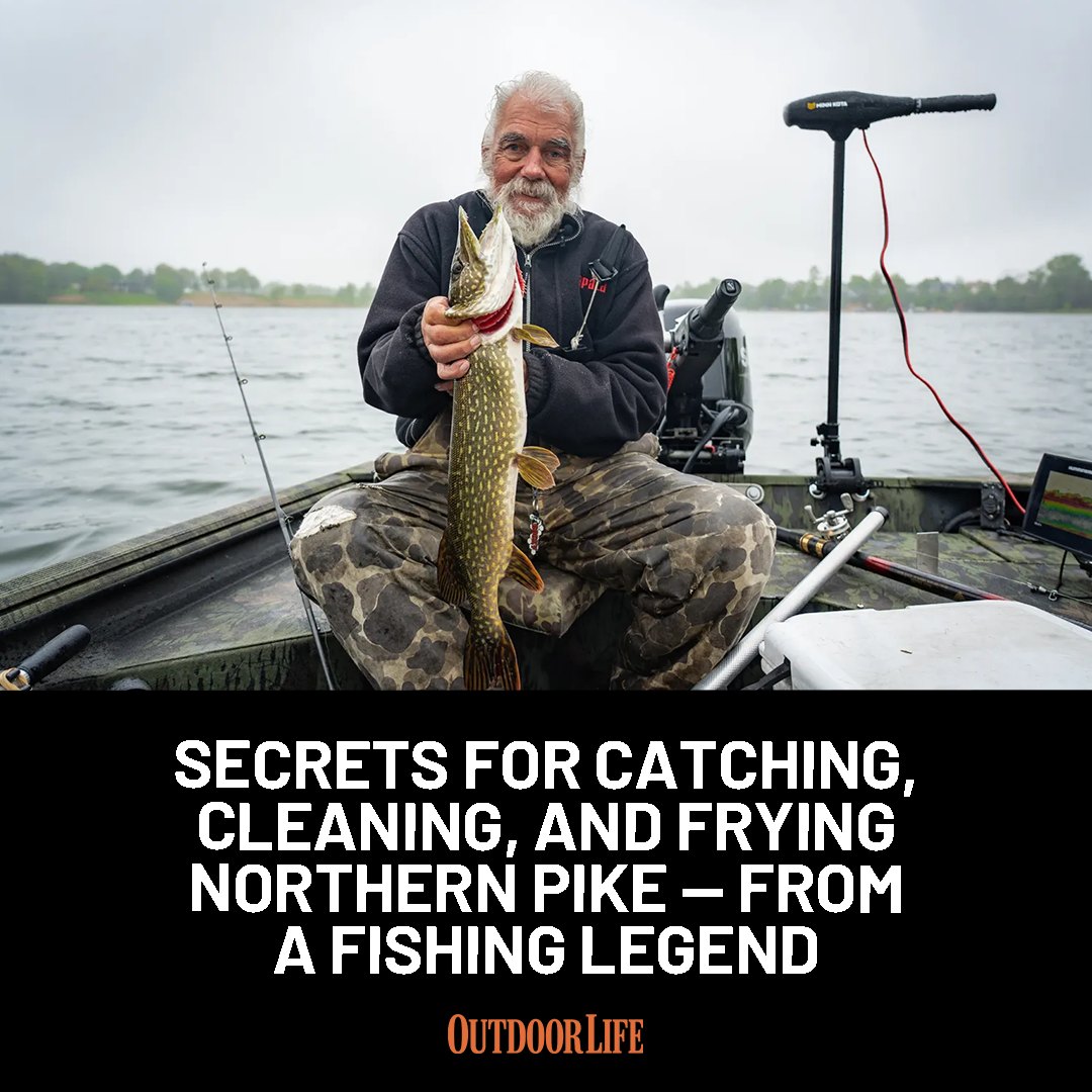 g loomis e6x spinning rods Spin Rod trout rod under 200 Okuma Trio Spinning Reel Size:24×36 modulus graphite