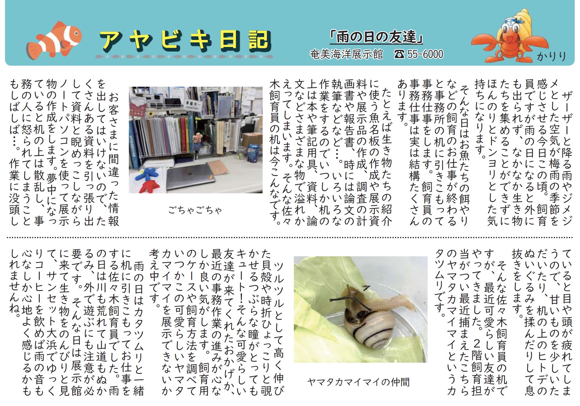 奄美市だより～切り取り版～】アヤビキ日記「雨の日の友達」 広報紙 