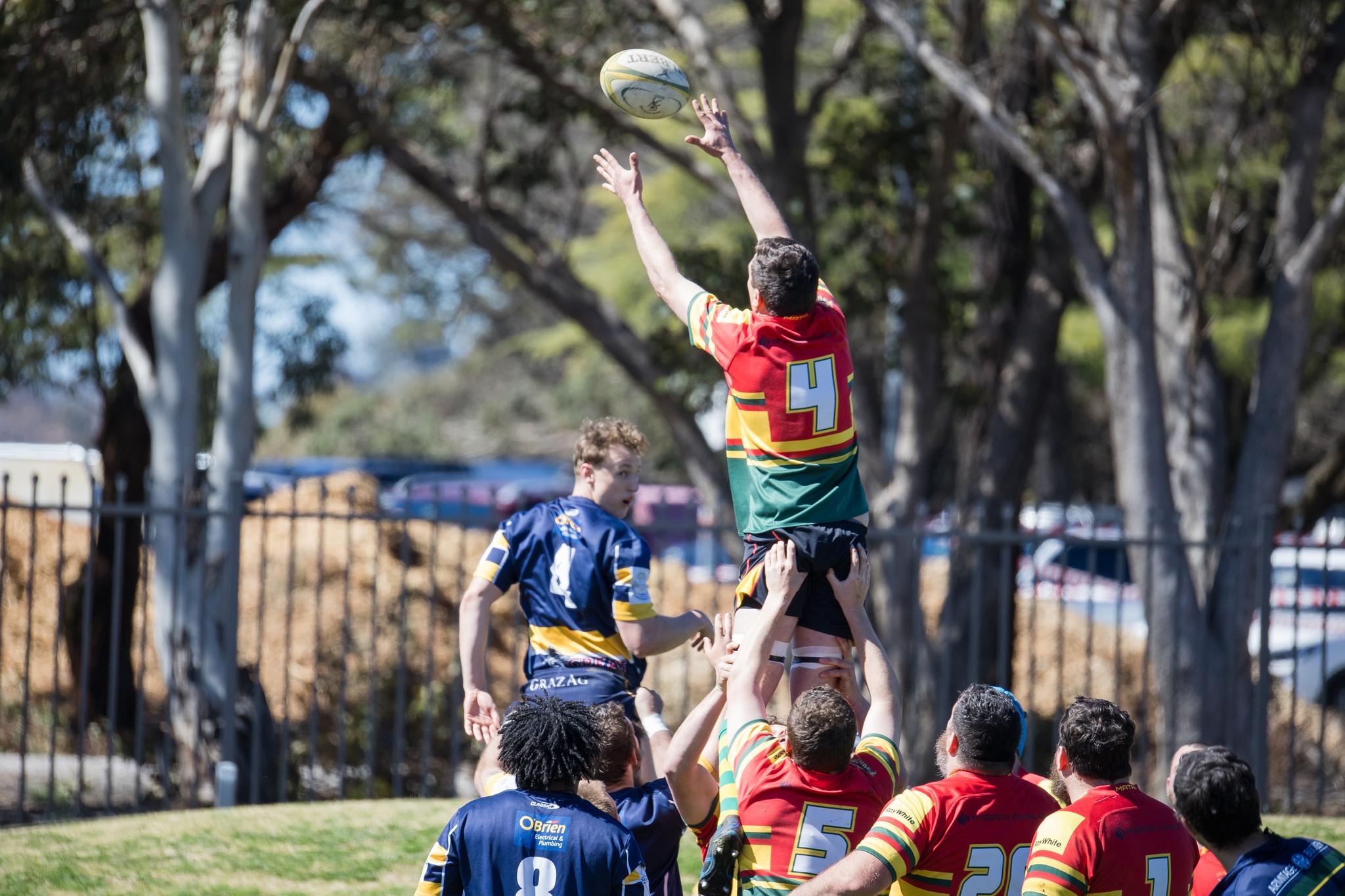 Dorrigo Rangers Rugby Club | Dorrigo NSW