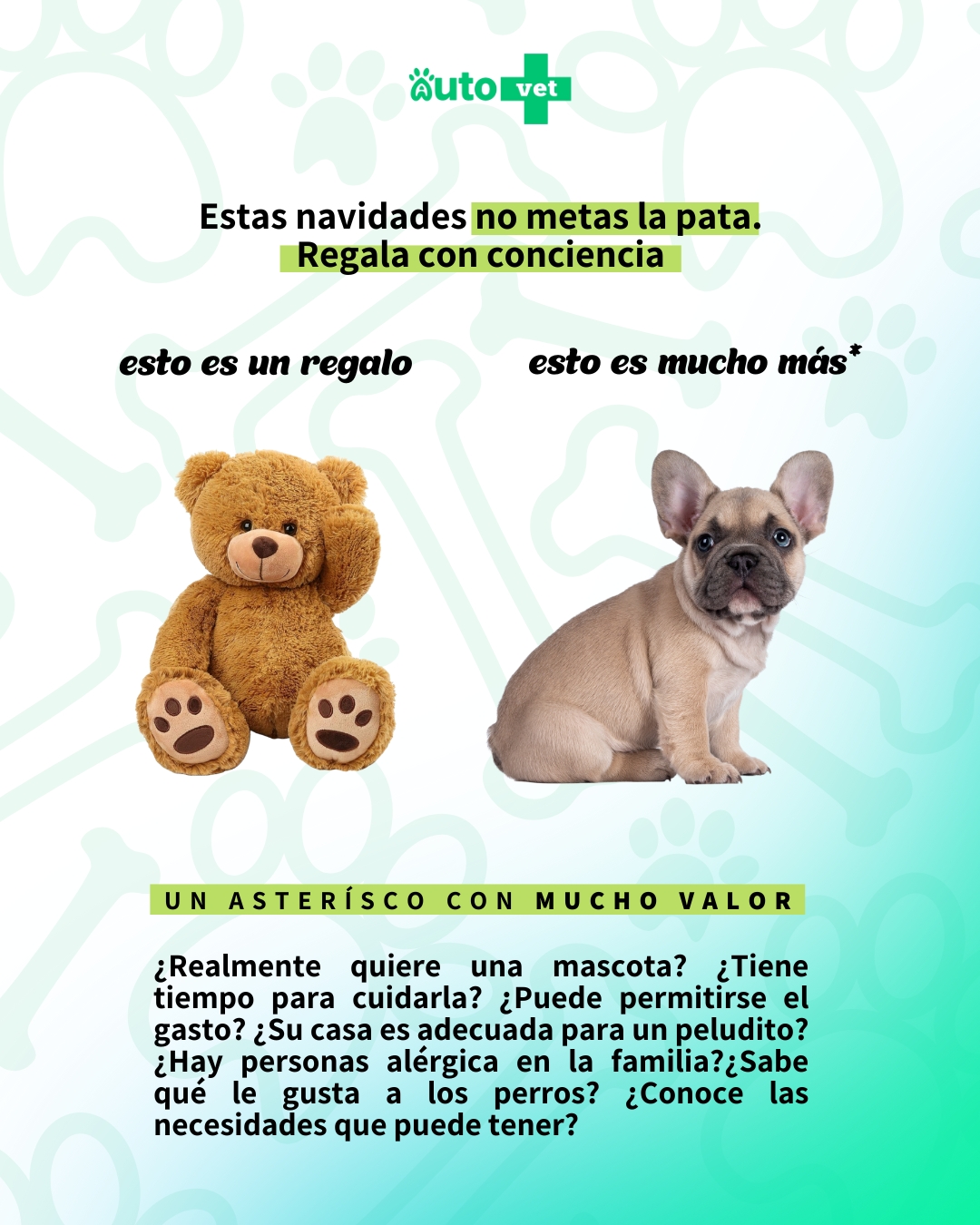 Autovet - ¿Sabías que hay una raza de 𝗺𝗶𝗰𝗵𝗶𝘀 𝗾𝘂𝗲 𝗻𝗼 𝘁𝗶𝗲𝗻𝗲𝗻 𝗰𝗼𝗹𝗮?🤭 Del ...