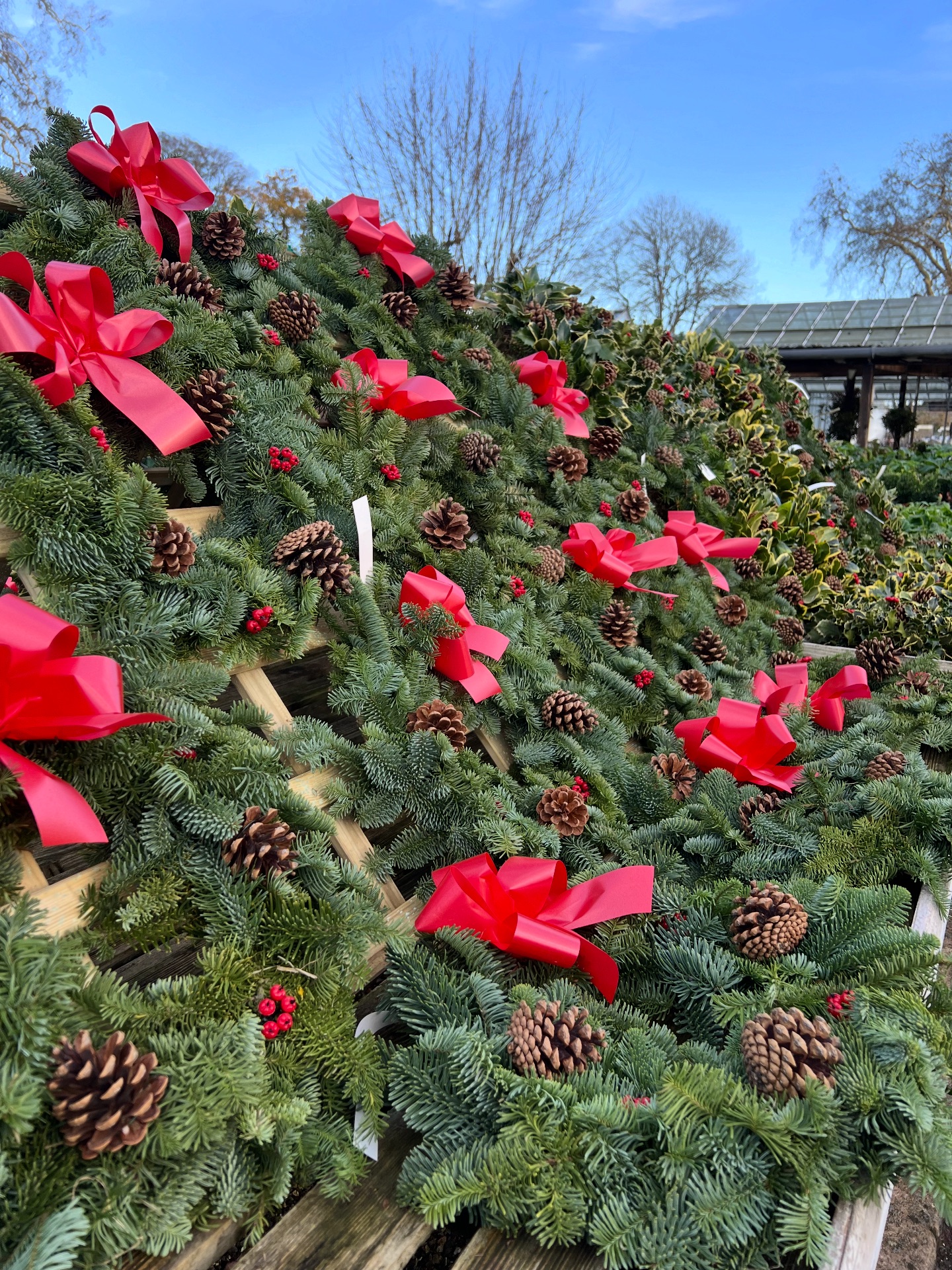 Our Christmas wreath collection... - Toad Hall Garden Centre | Facebook