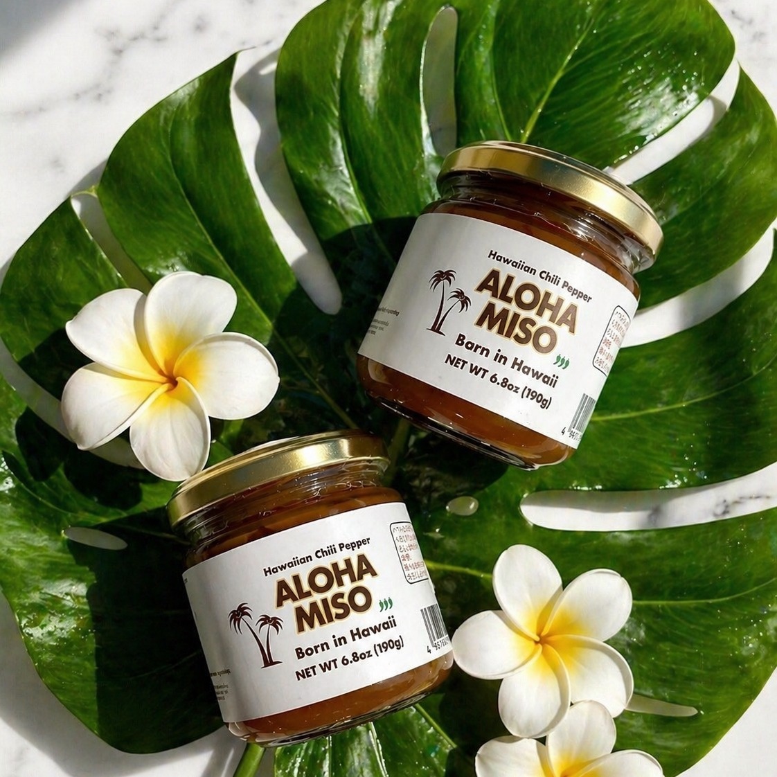 ℹ️出店ブース紹介 【ALOHA MISO】 ハワイの恵みと日本の伝統が出会っ