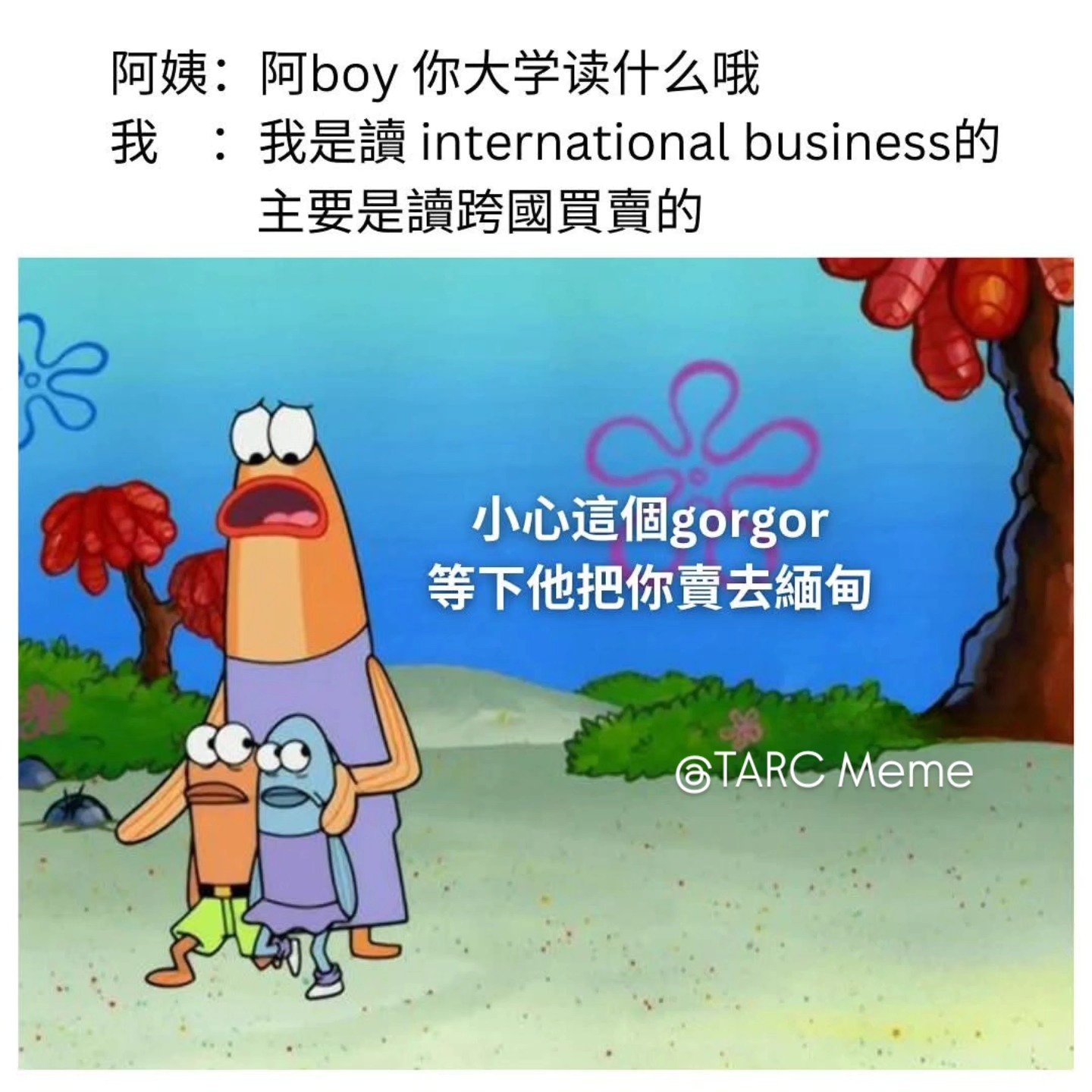 Tarcee Meme - 剛剛才發現下個星期有quiz 幹 . . 广告/宣传，DM详谈 . IG: tarcmeme_my ...