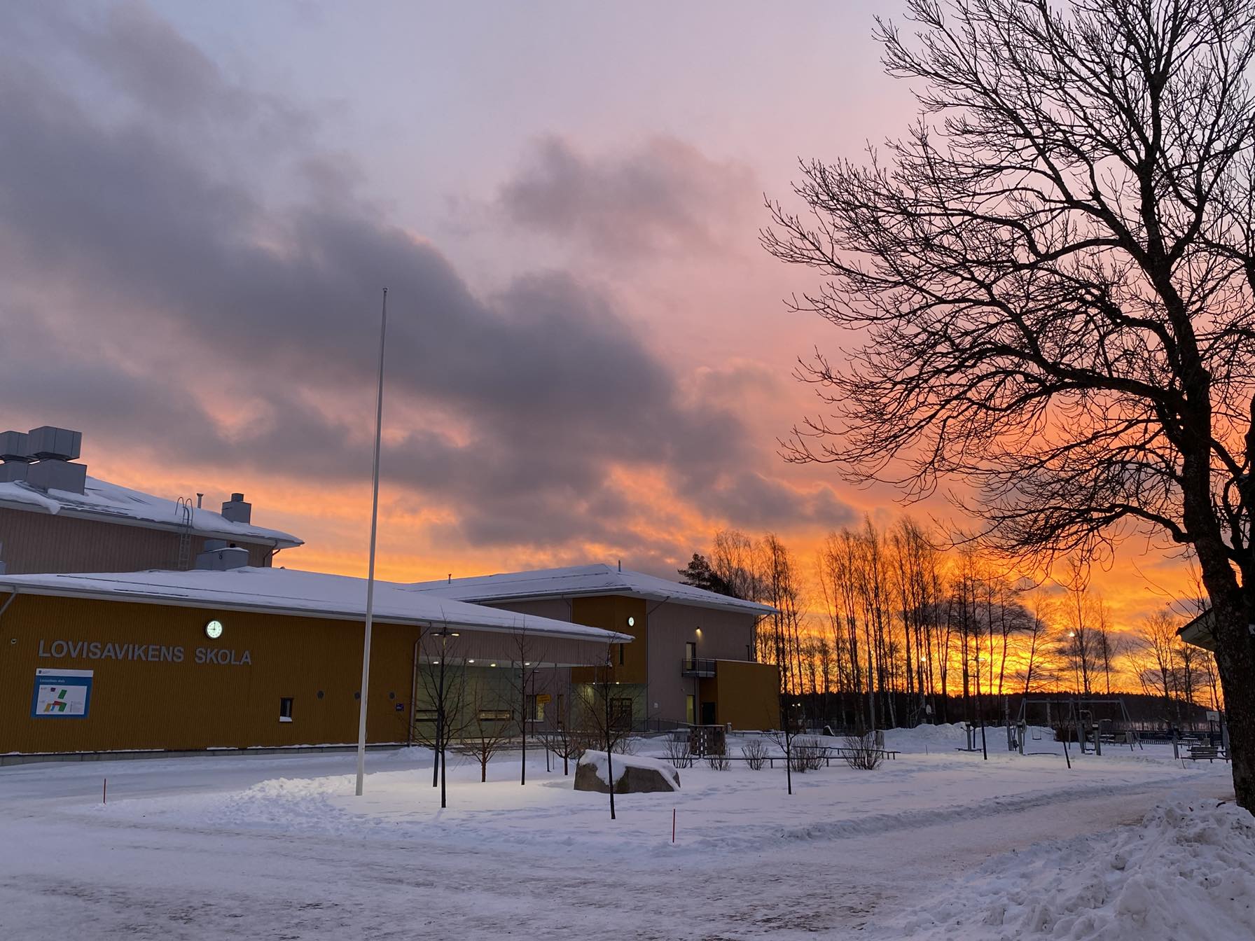 lovisavikens-skola