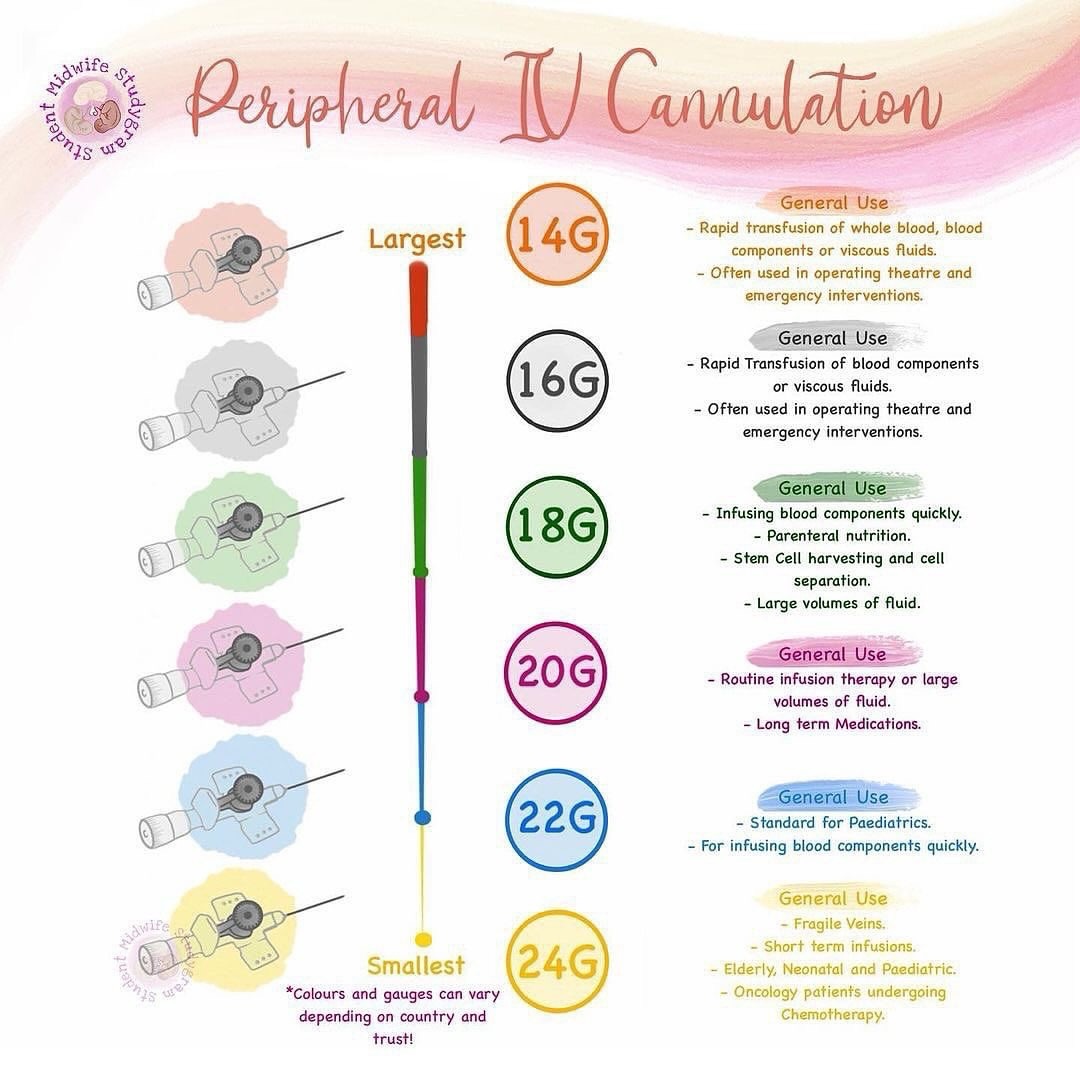 🔵🔴⚫️ Peripheral Intravenous... - Student Midwife Studygram | Facebook