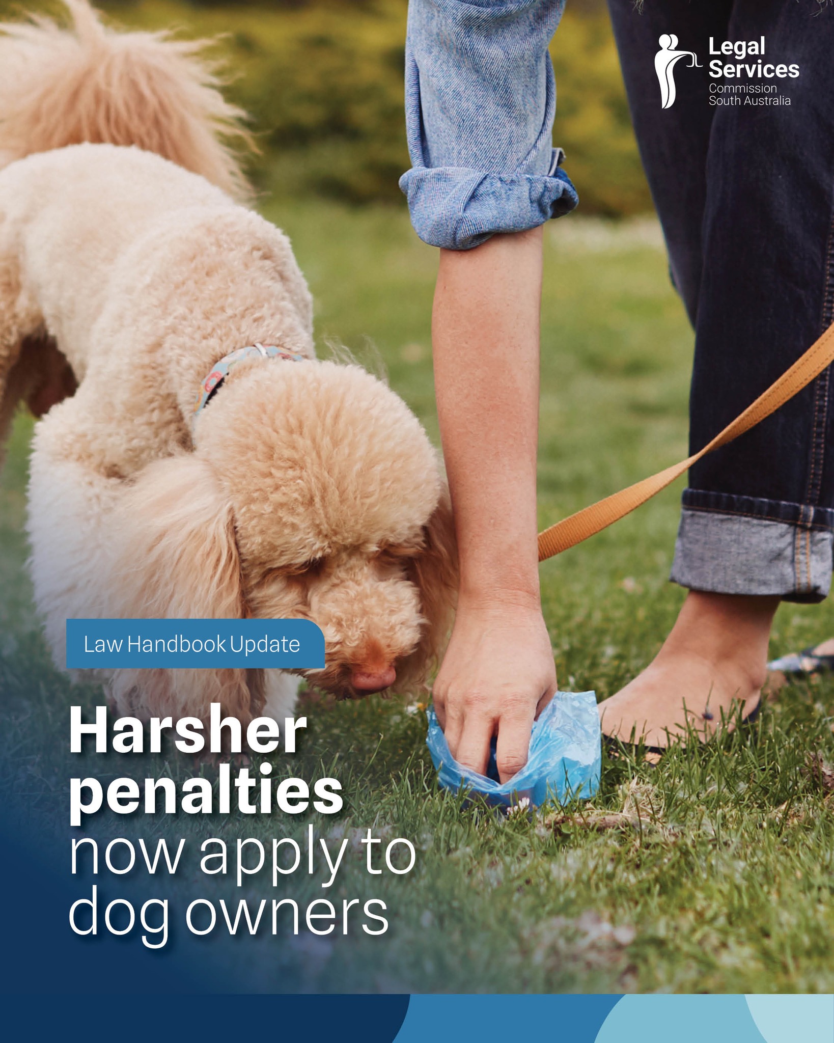 Legal - Do you know the rules that apply to you and your pooch? From ...