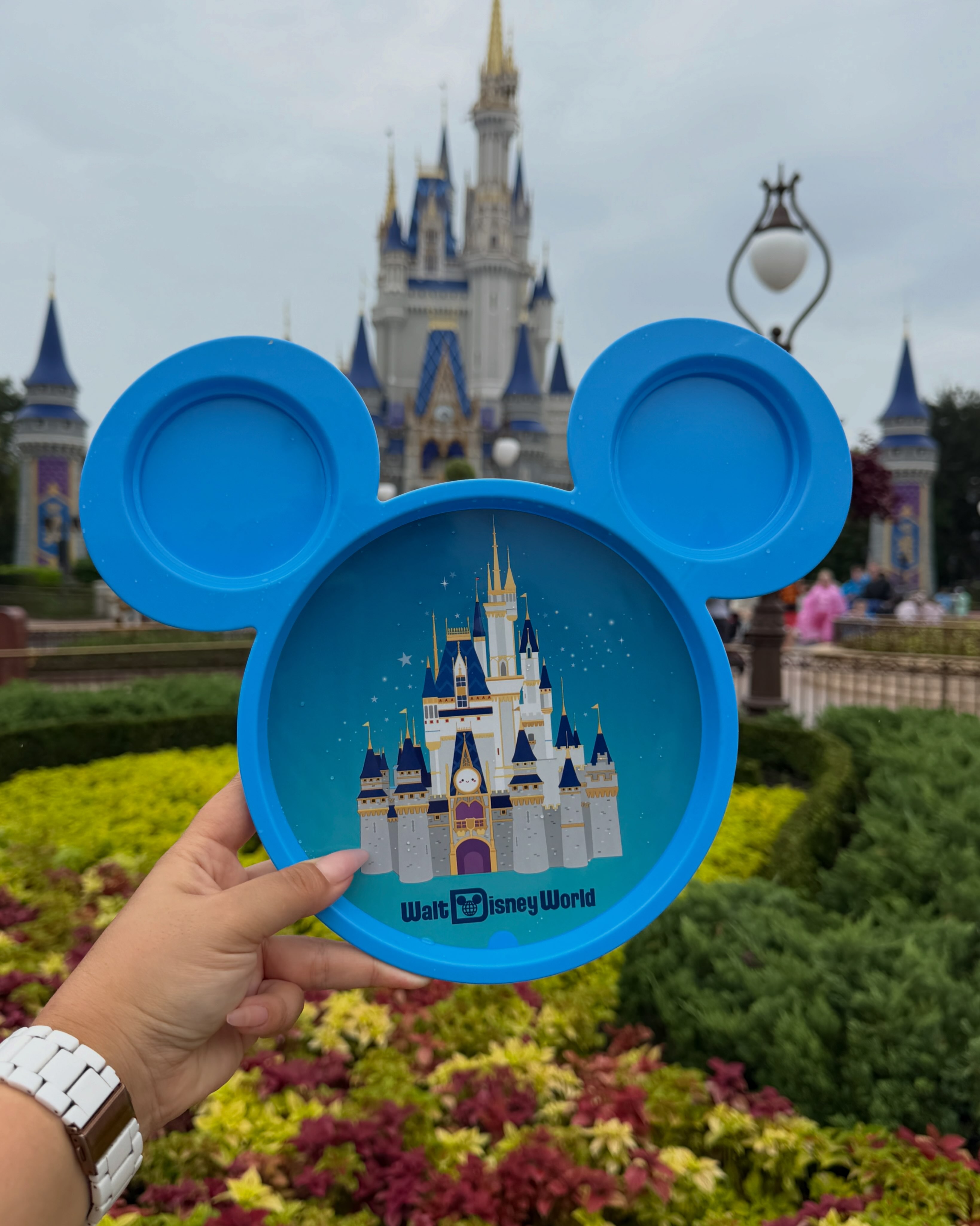 もうクリスマス🎄✨ 今日からディズニーワールドでホリデー