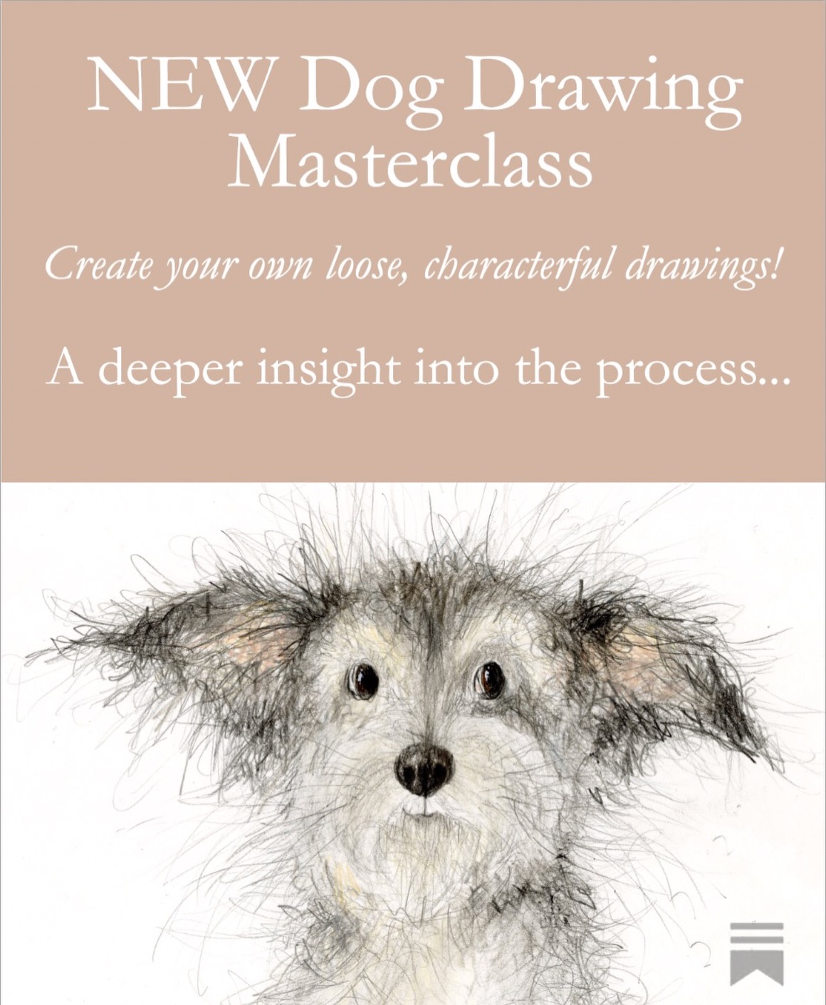 A brand new dog drawing tutorial is... - Catherine Rayner | Facebook