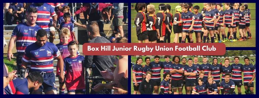 Box Hill Junior Rugby Union Football Club | Facebook
