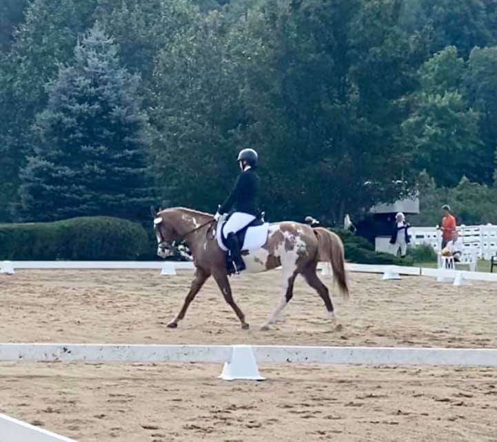 Stone Ridge Farm Equestrian... - Stone Ridge Farm Equestrian
