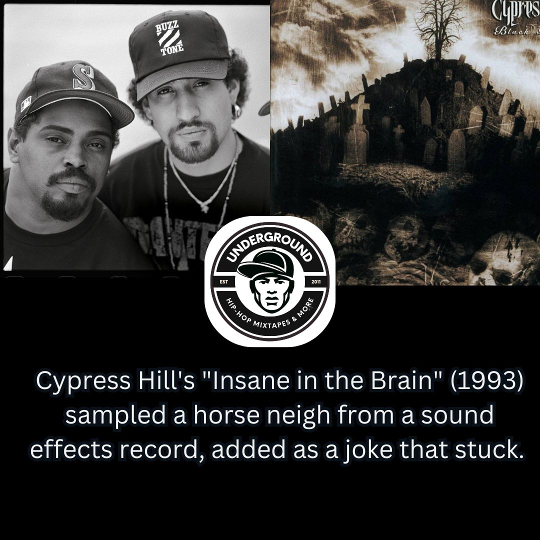 Cypress Hill - Insane In The Brain, Live 1994 🔥