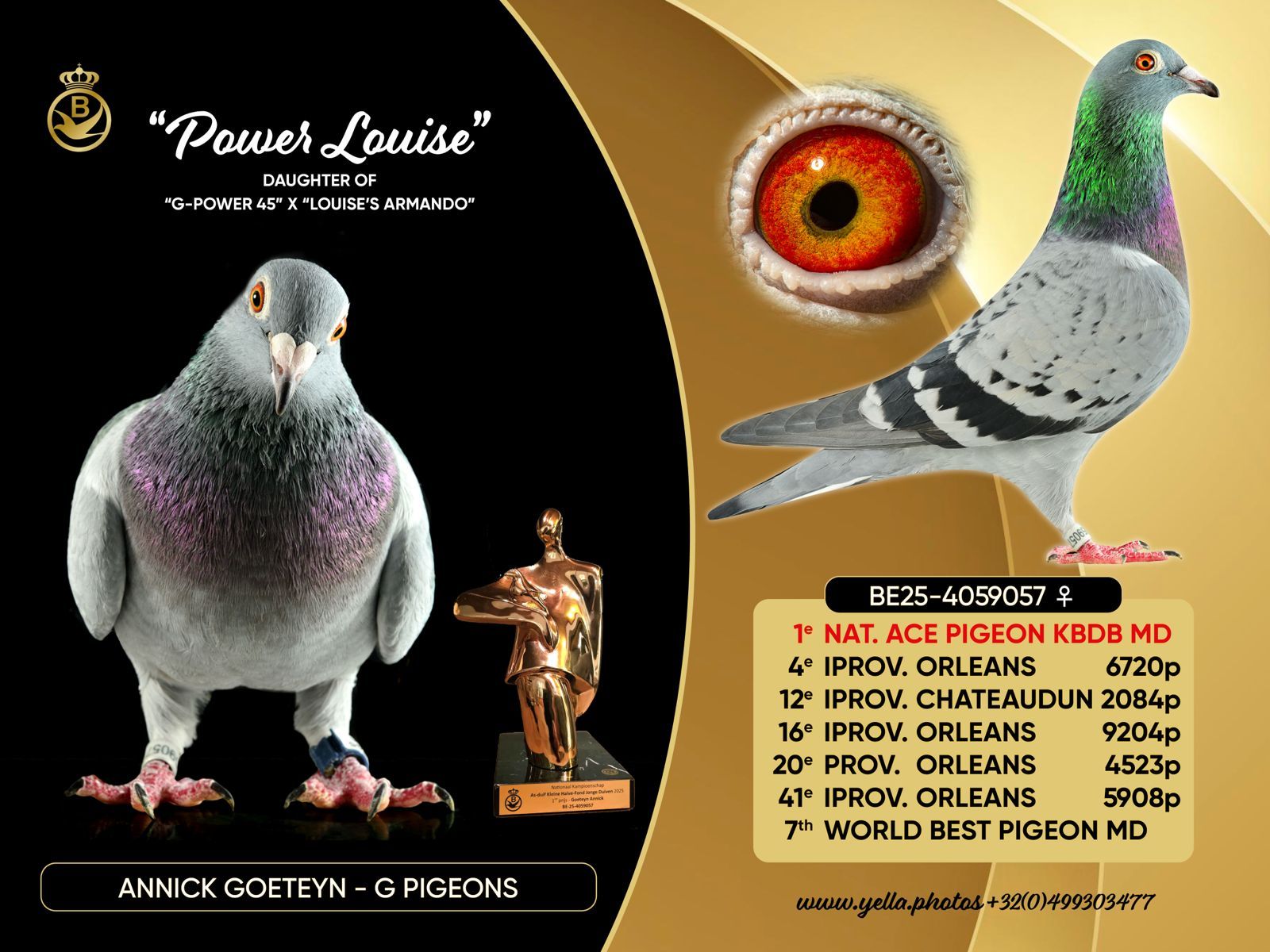Pione... - Pioneer Professional Racing Pigeon League of Canada