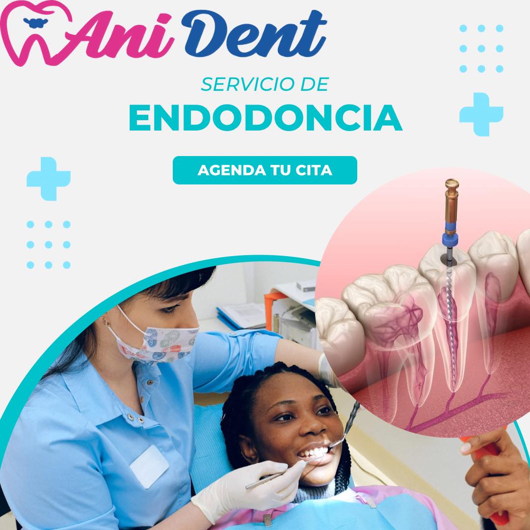 AniDent. Dra Nidia Monserrat Pérez - La endodoncia dental es un ...