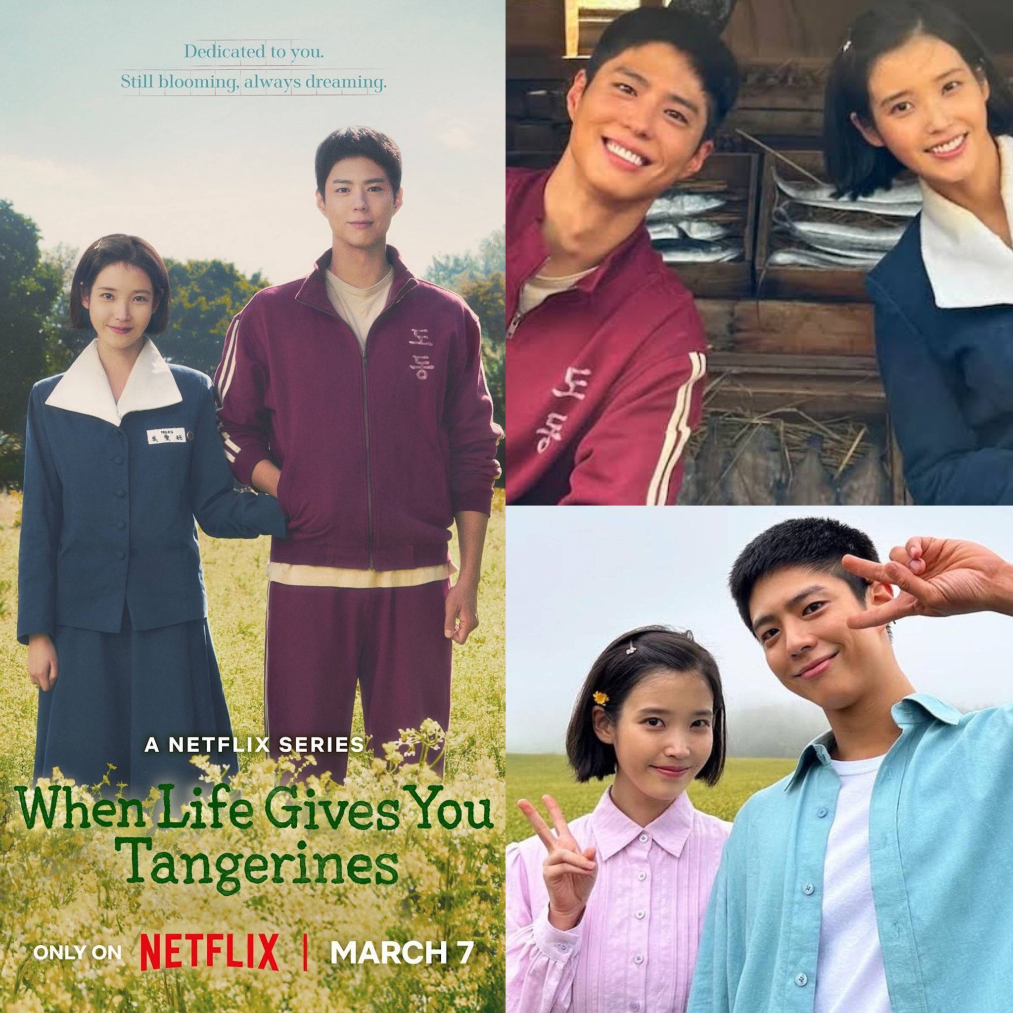 Philippine - TIME Magazine has crowned 'When Life Gives You Tangerines ...