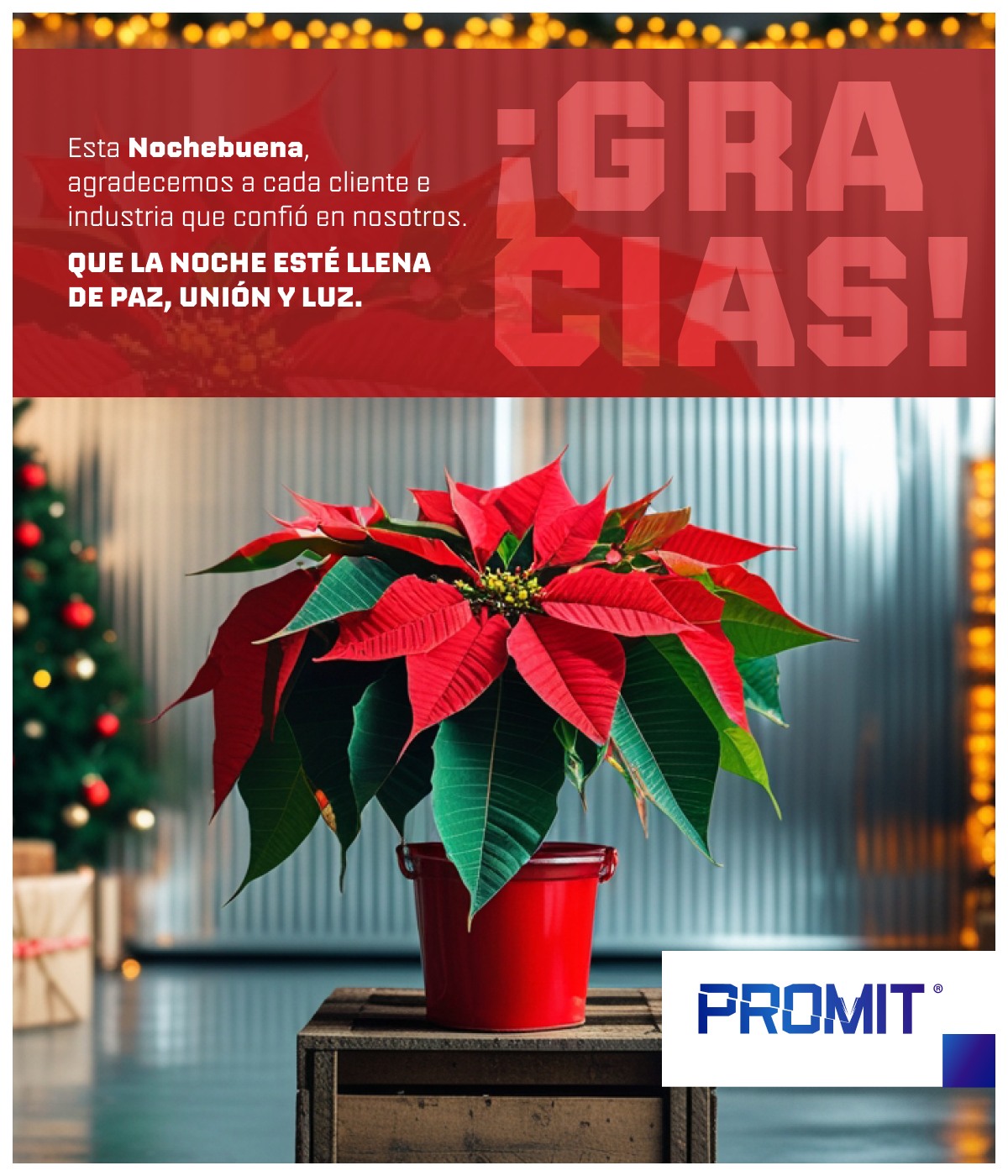 Promit Corte Láser | Lerma