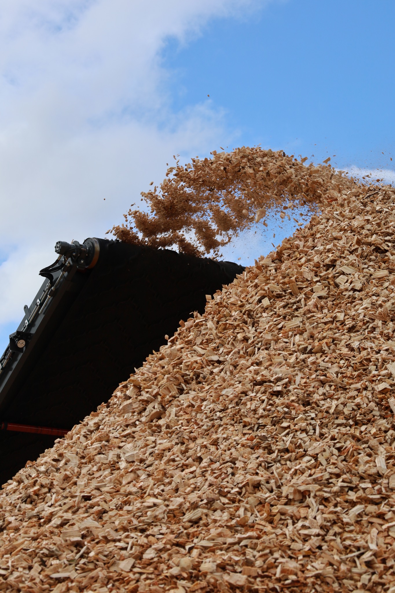 CRJ - Precision in motion! 🌲 This snapshot, our Picture of the Month ...