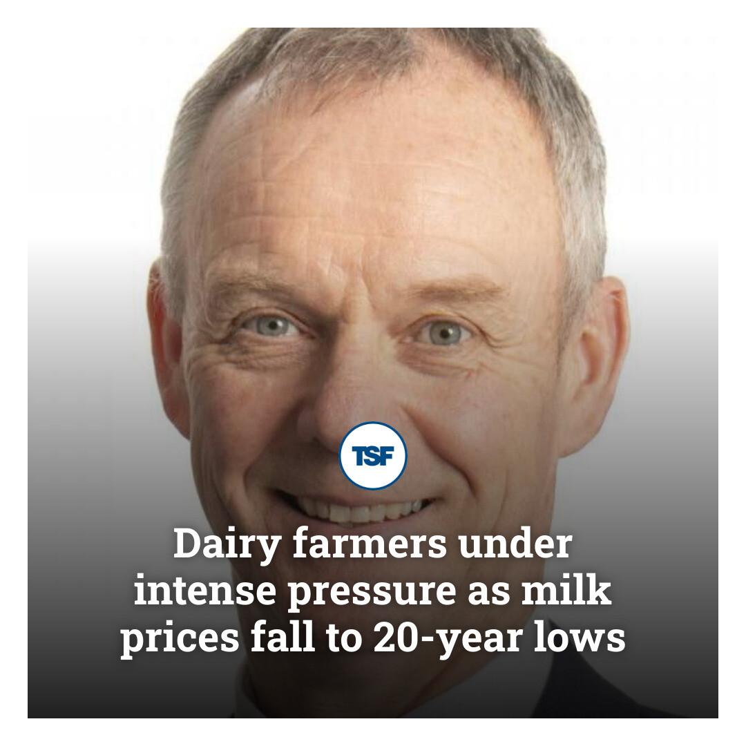 The Scottish - Milk prices fall sharply, leaving UK dairy farmers ...