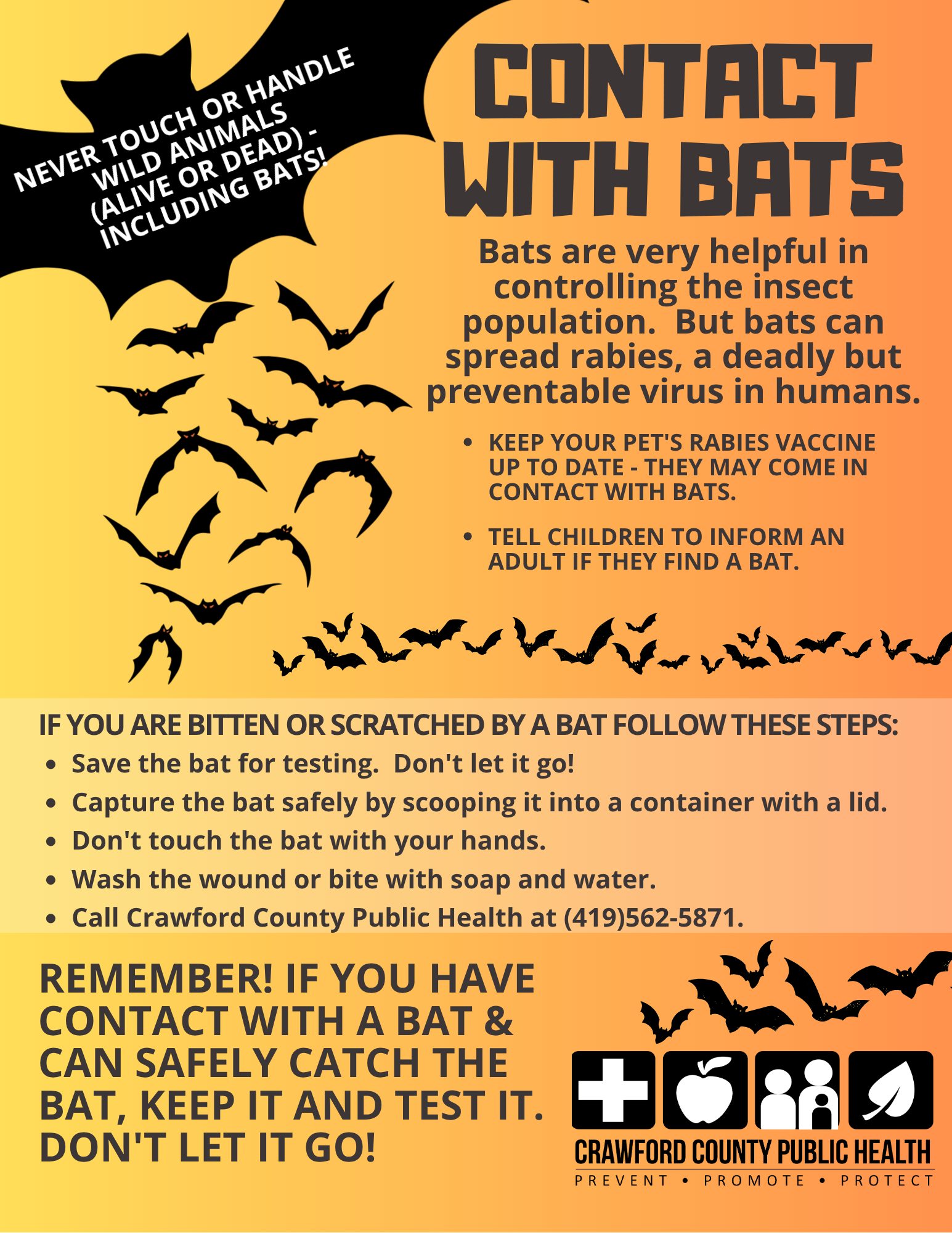 In Ohio, October is the... - Crawford County Public Health | Facebook