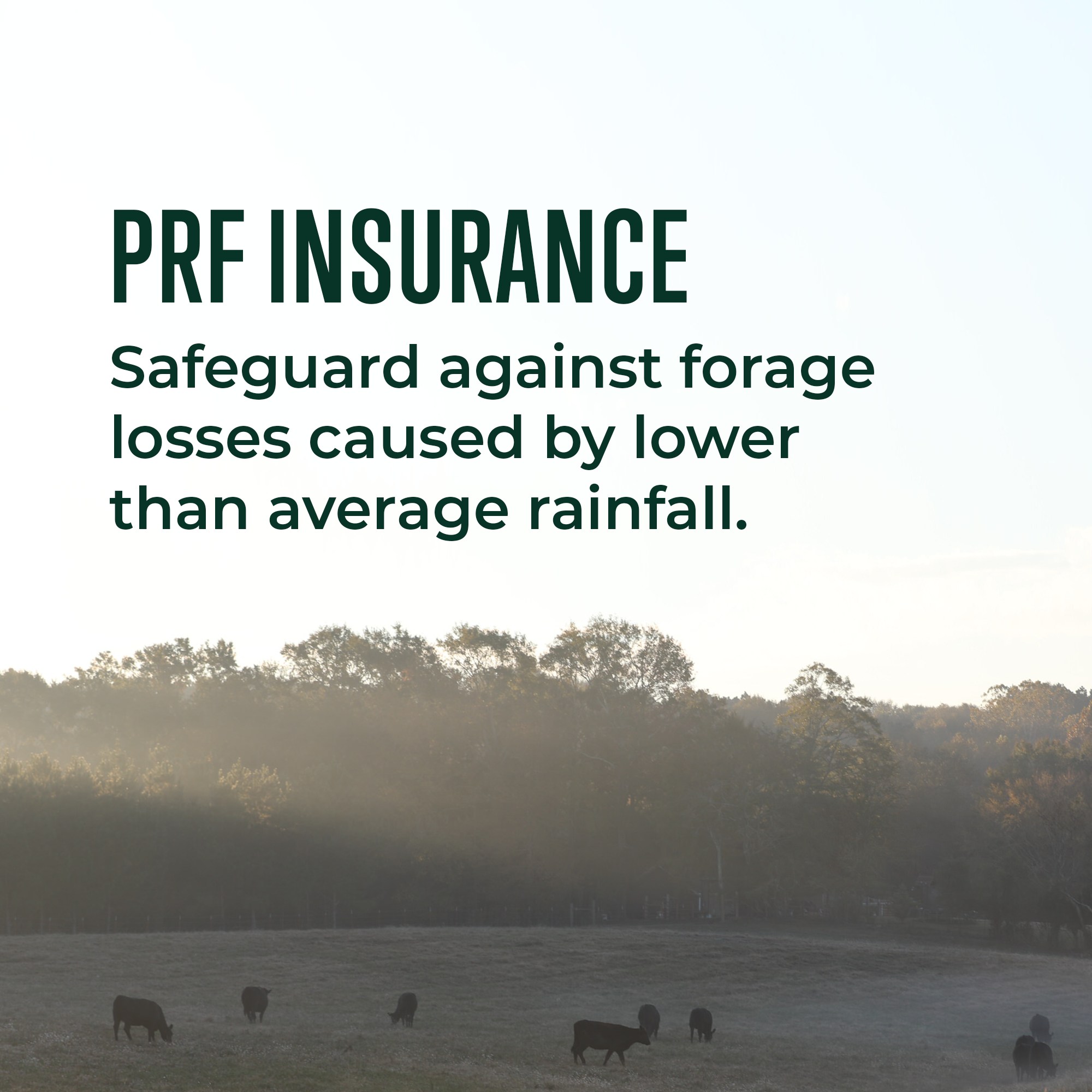 Farm Credit Services of... - Farm Credit Services of America