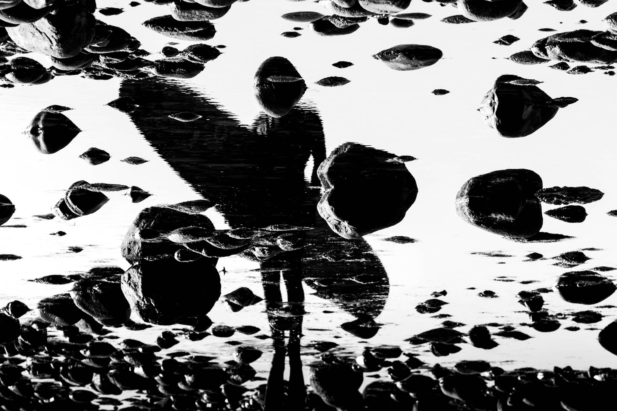 The Surfer's Journal - J Riddle hits the right marks as a stunt-double ...