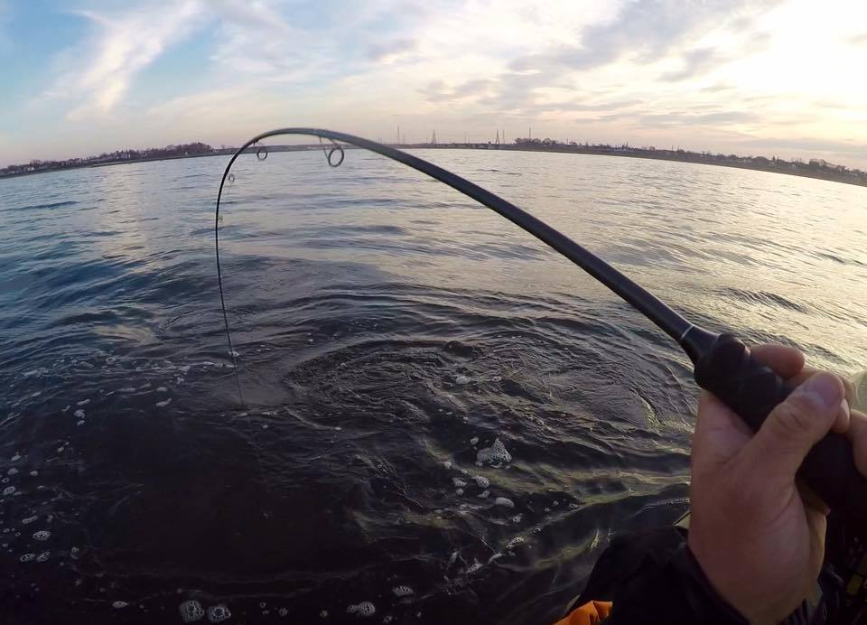 RH Custom Rods - This weeks product spotlight is our Yak... | Facebook