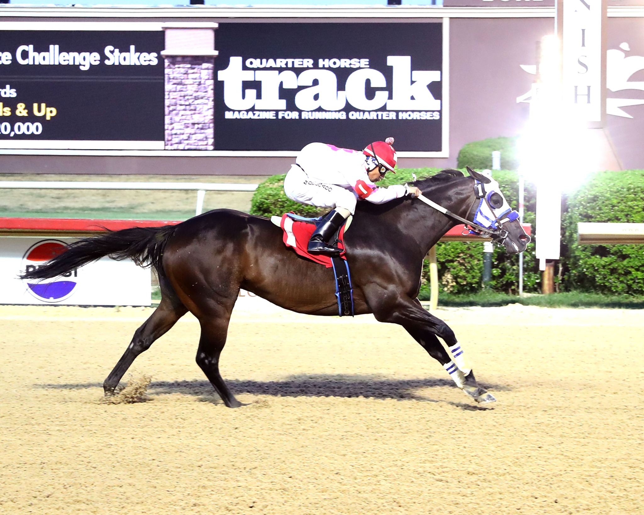 For the second straight year, Wynnchester earned a spot in the