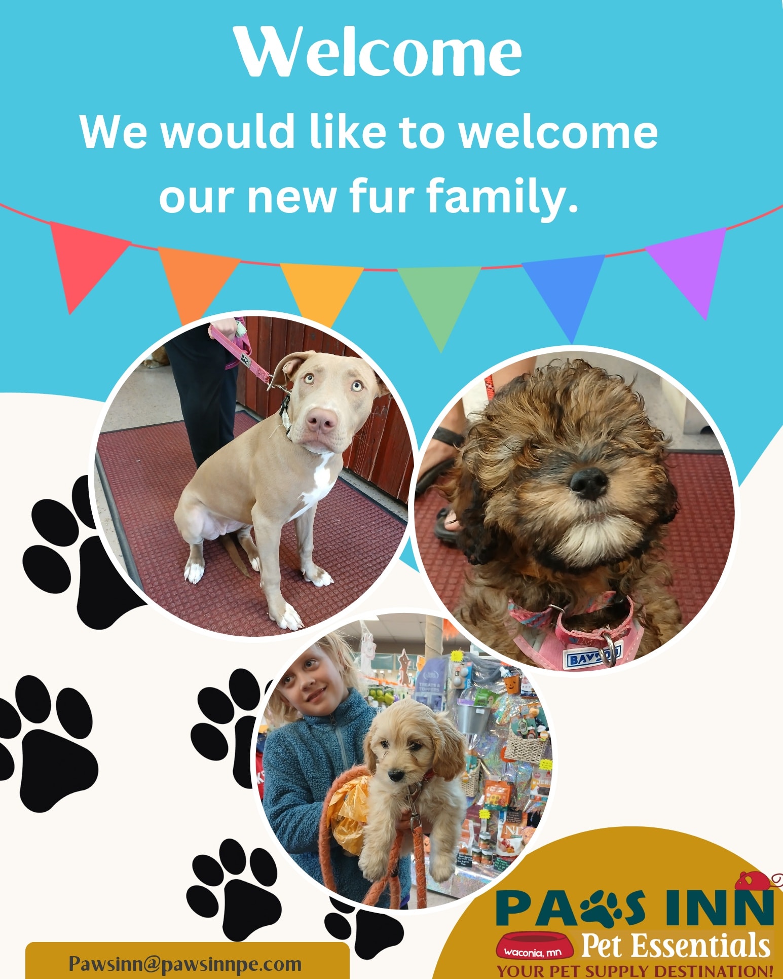 🐾 Welcome to the Paws Inn... - Paws Inn Pet Essentials | Facebook