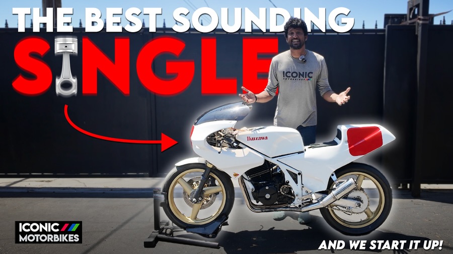 Our latest YouTube just went live! On rare occasions, we get a