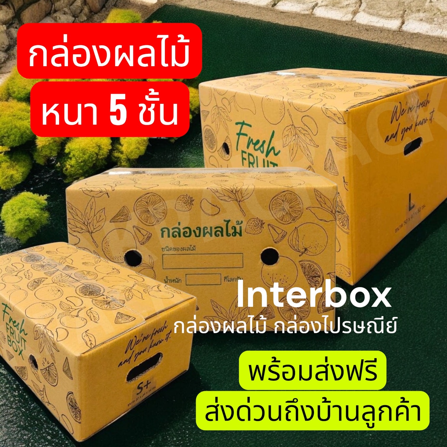 InterBox กล่องไปรษณีย์ เชียงราย | Amphoe Thoeng
