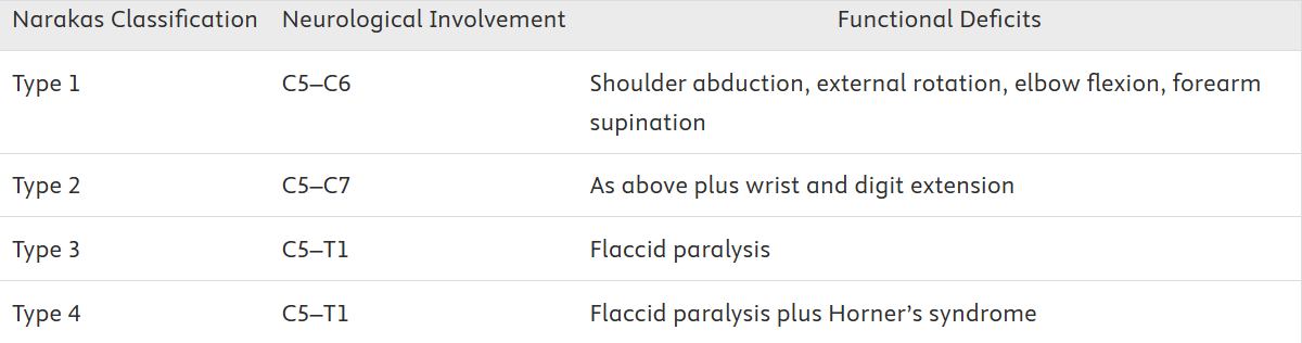 Ayman - The Narakas classification of brachial plexus birth palsy ...