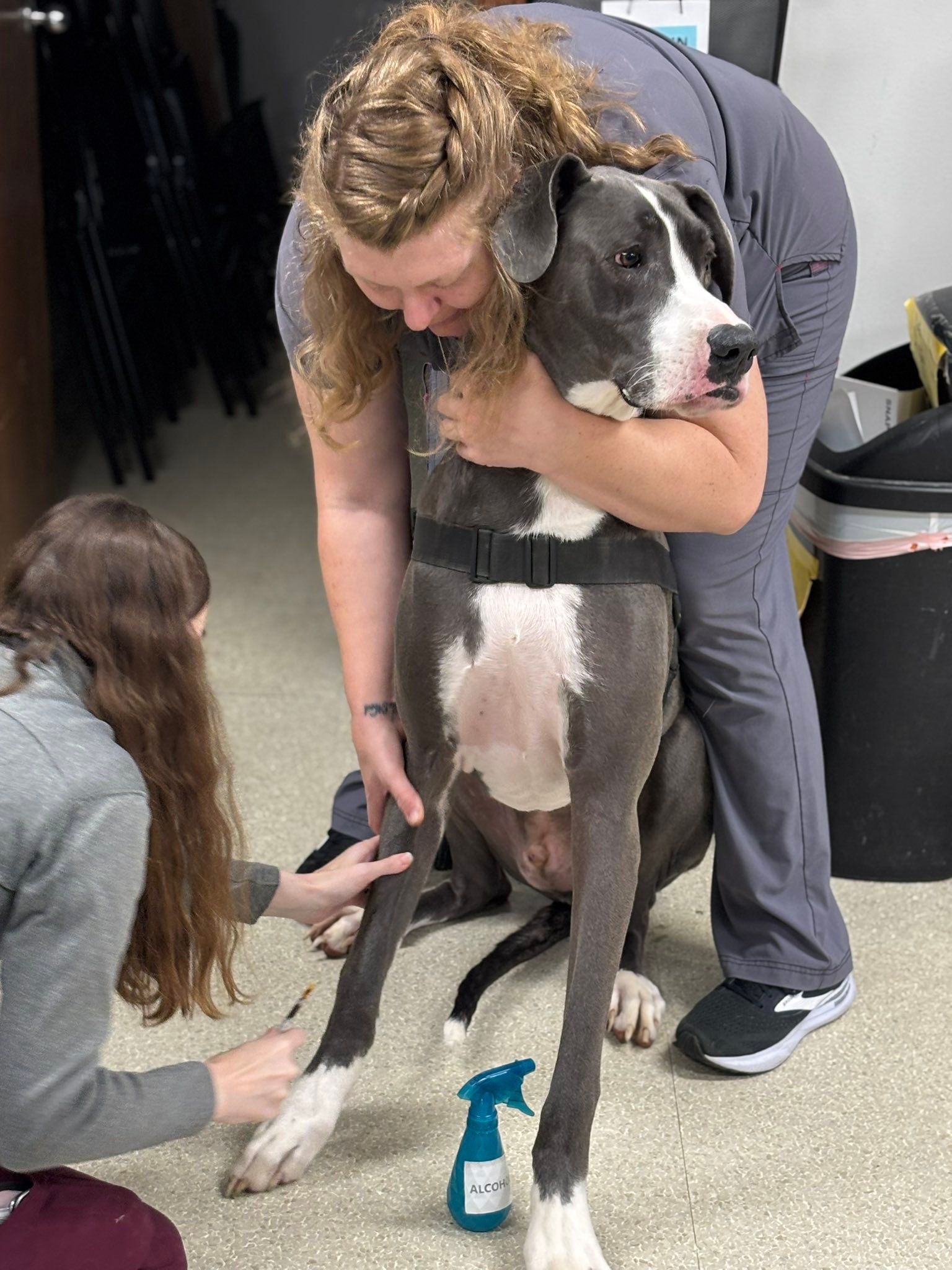 Village Vet Broken Arrow