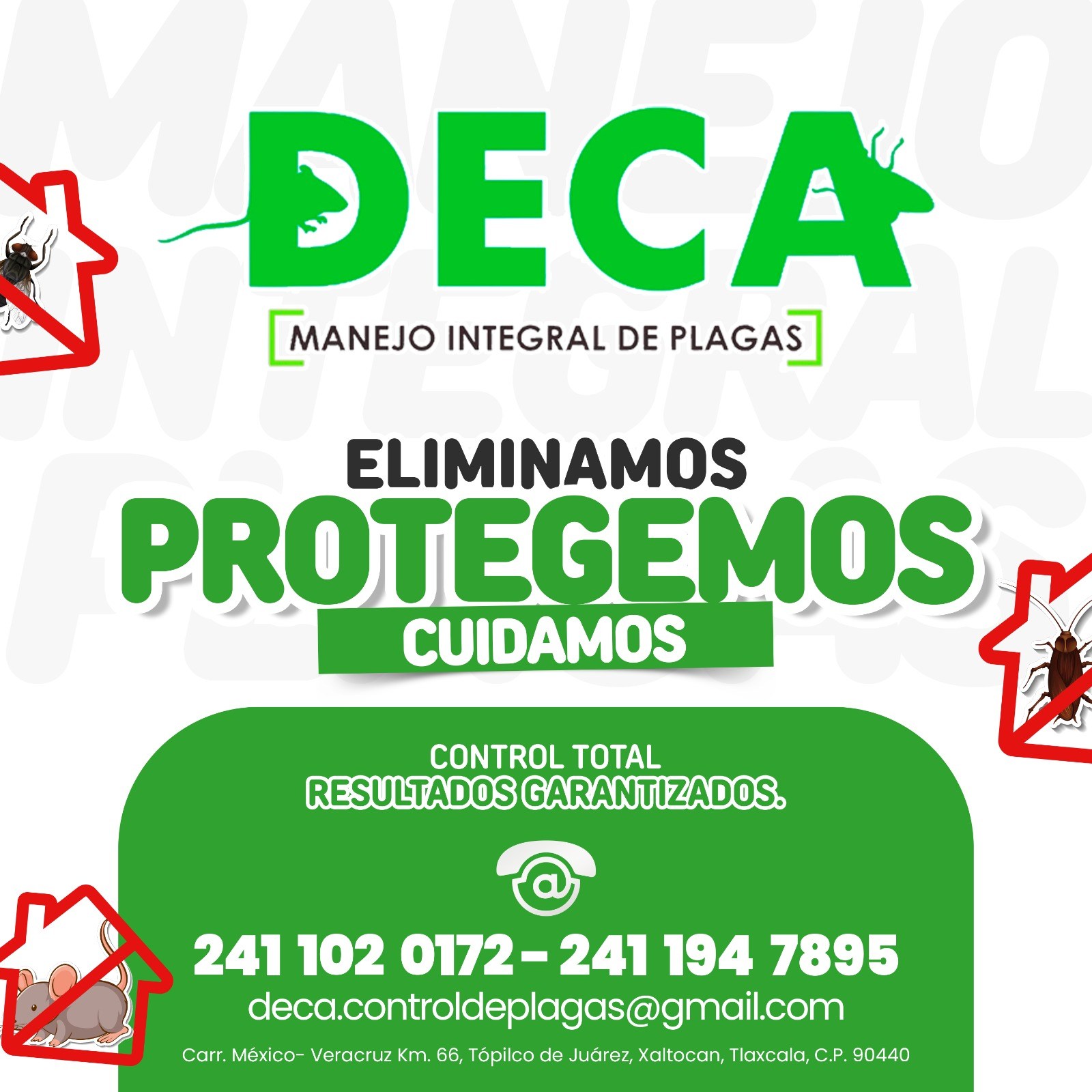DECA - 🚫🐜 En DECA eliminamos las plagas, protegemos tu espacio y ...
