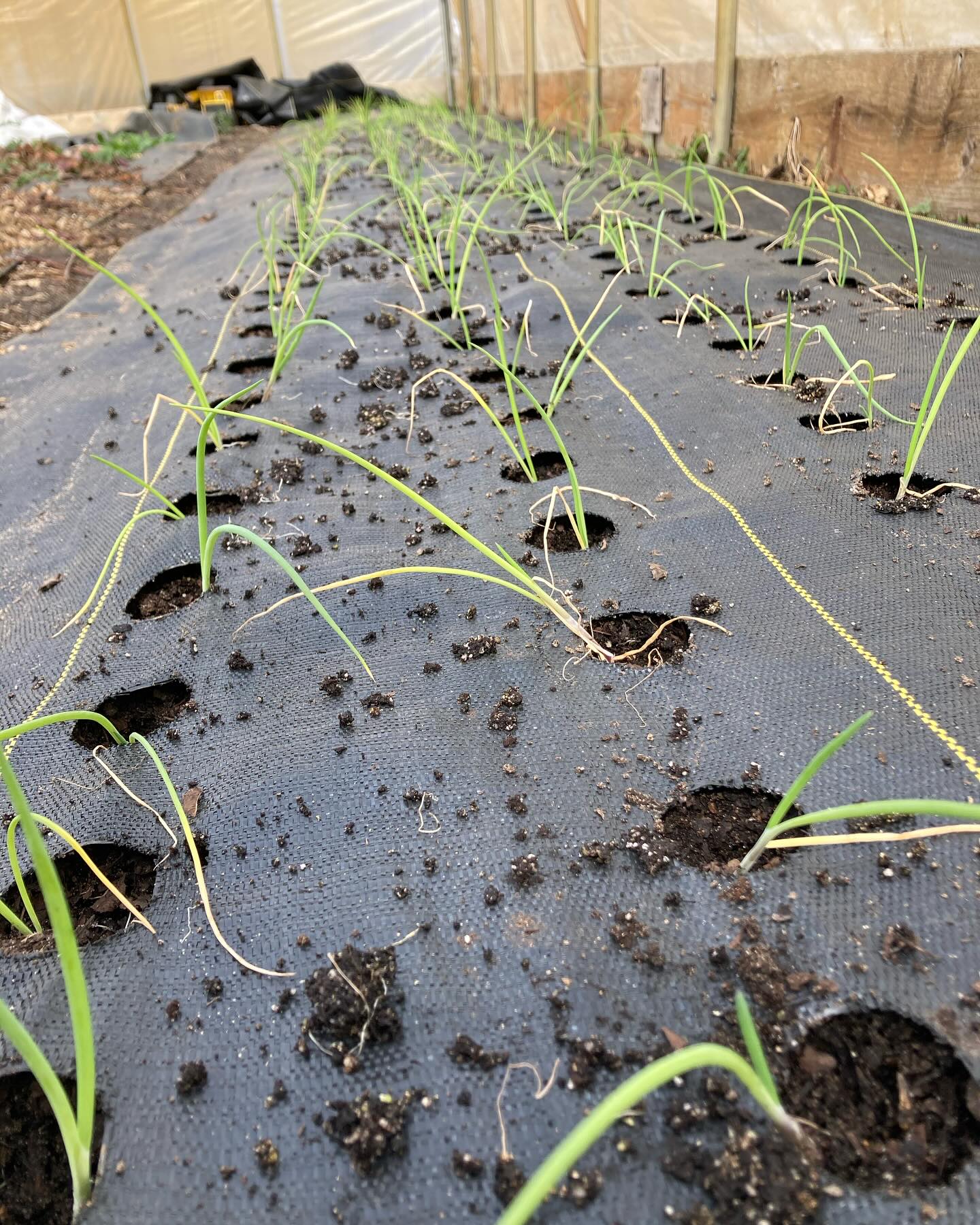 Native Roots Farm | Wanatah IN