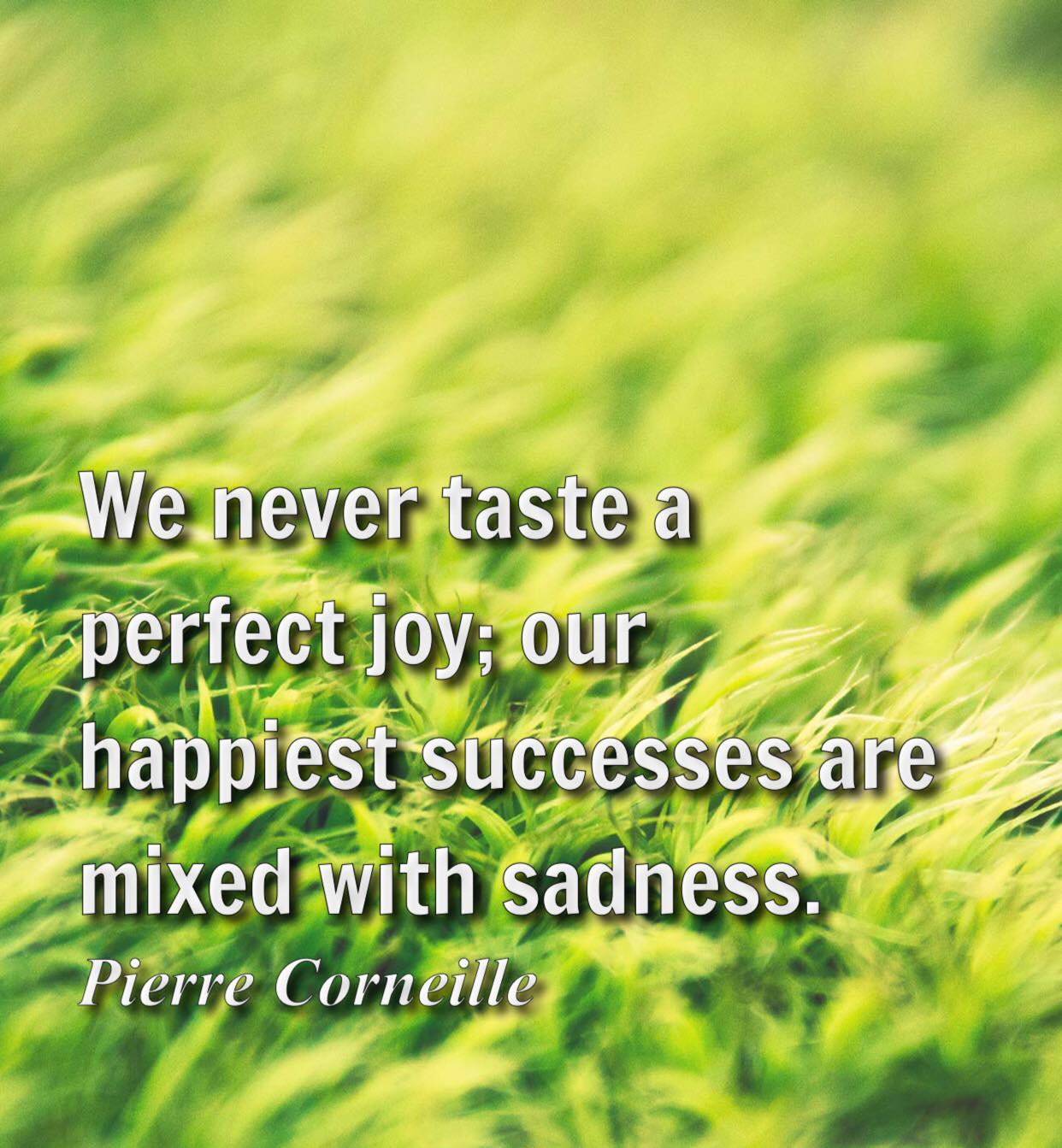 Perfect status | Beirut