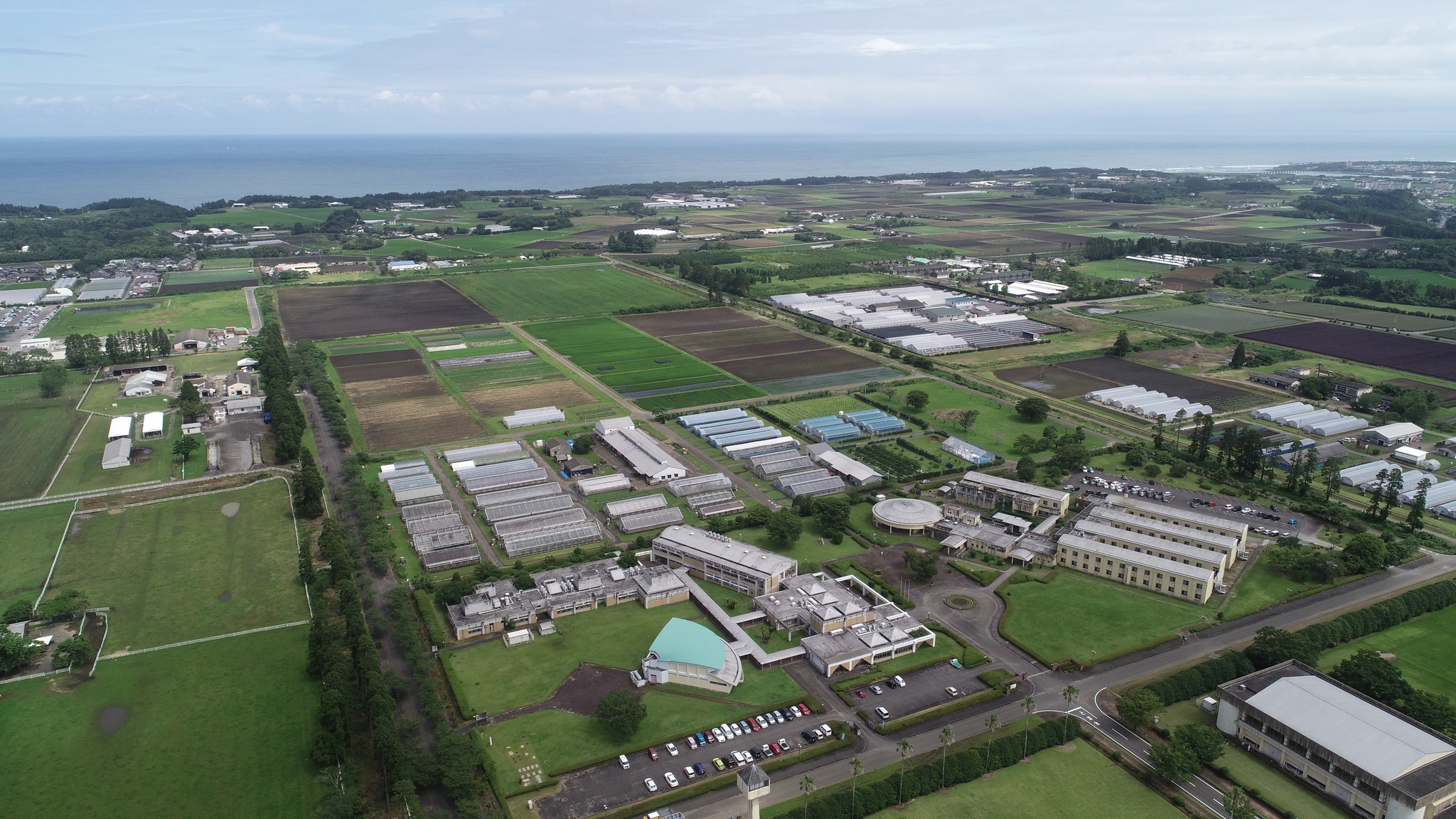 宮崎 県 農業 大学 校