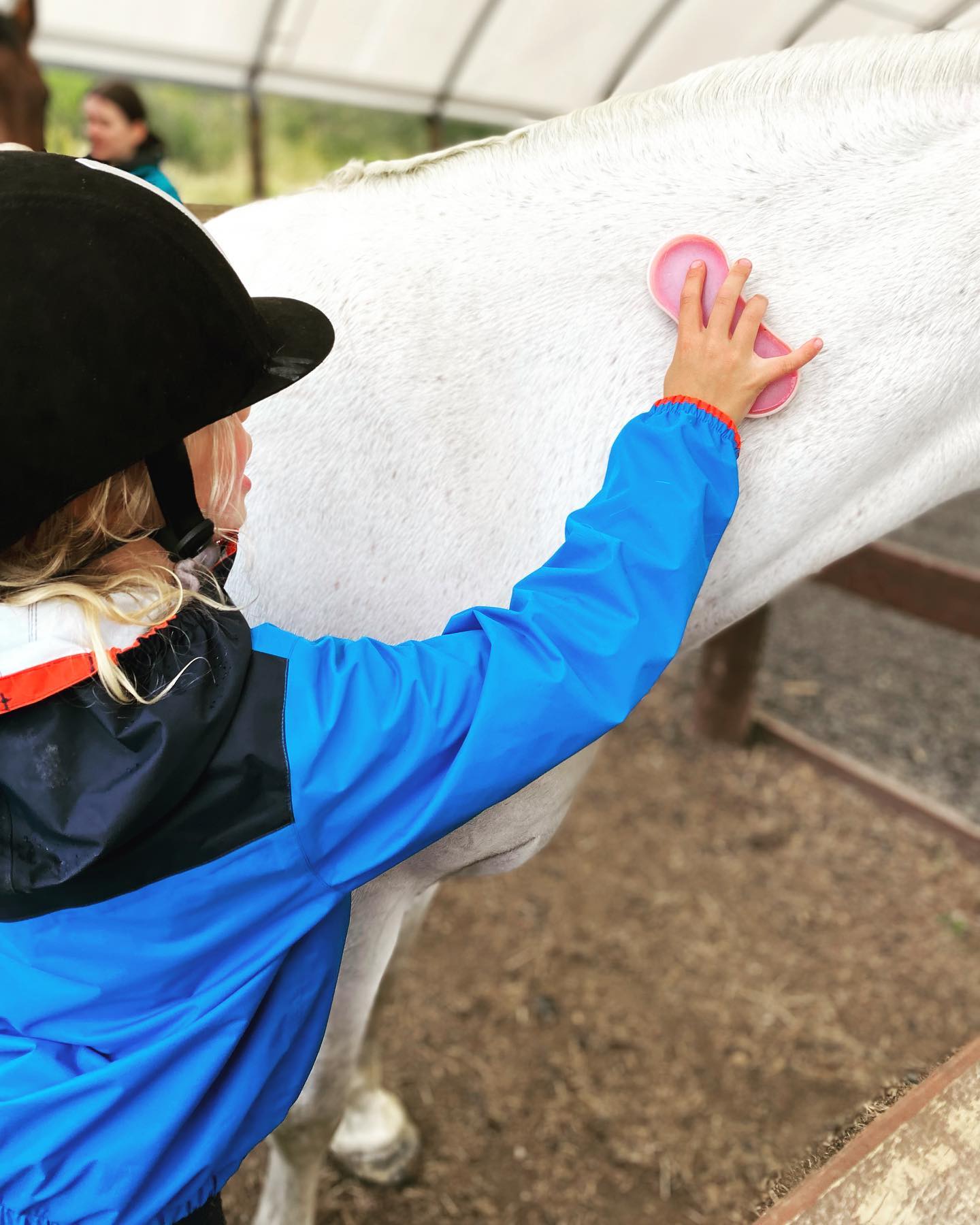 ⭐️ Do you know of a... - Dunedin Riding for the Disabled | Facebook