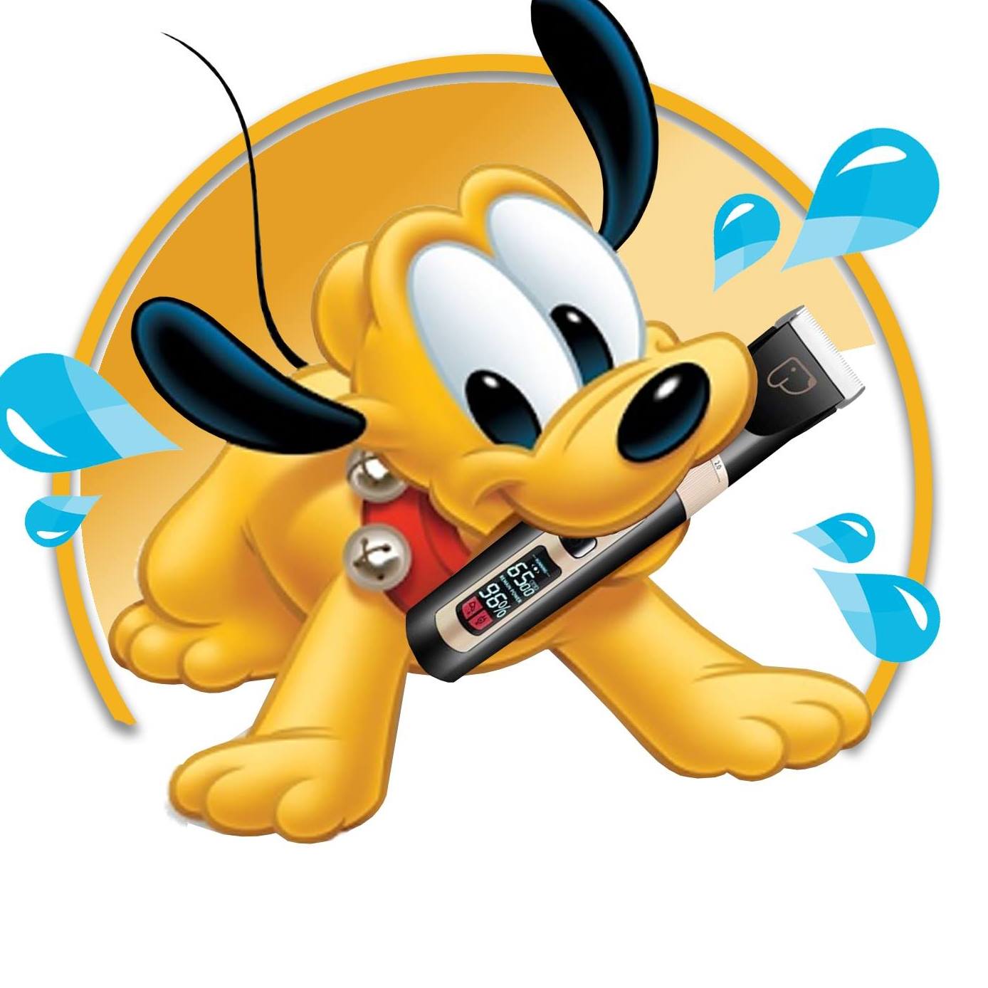 Dieren Kapsalon Pluto Posts Facebook
